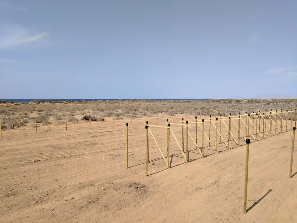 Seawater Greenhouse bracing