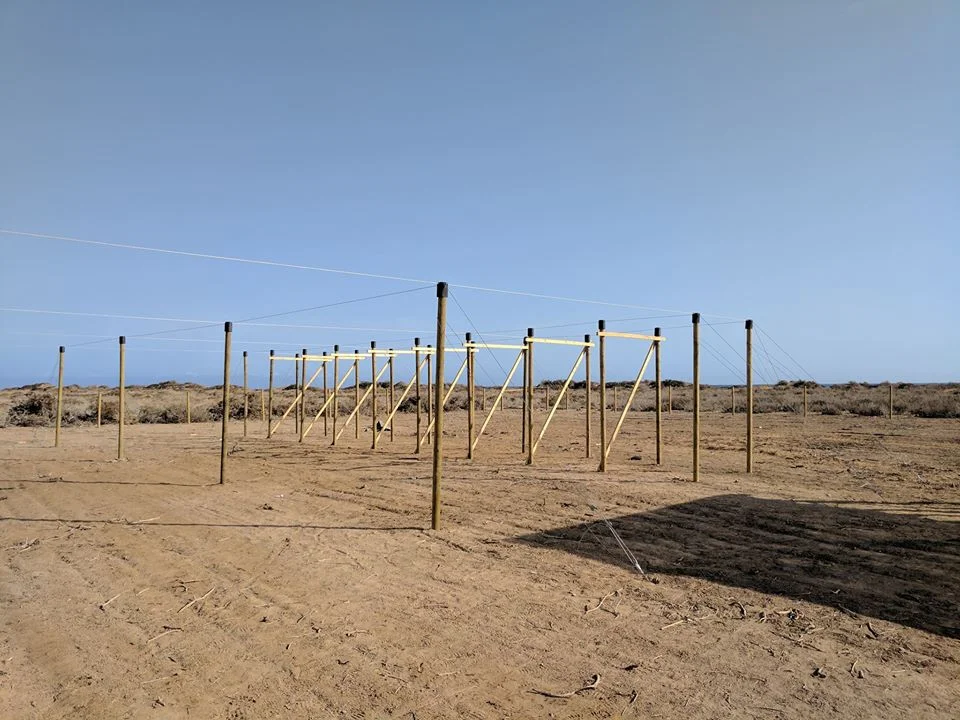 The tensioned structure of the Nursery Seawater Greenhouse