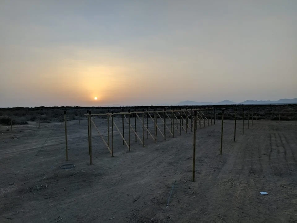 One of the many morning site...
