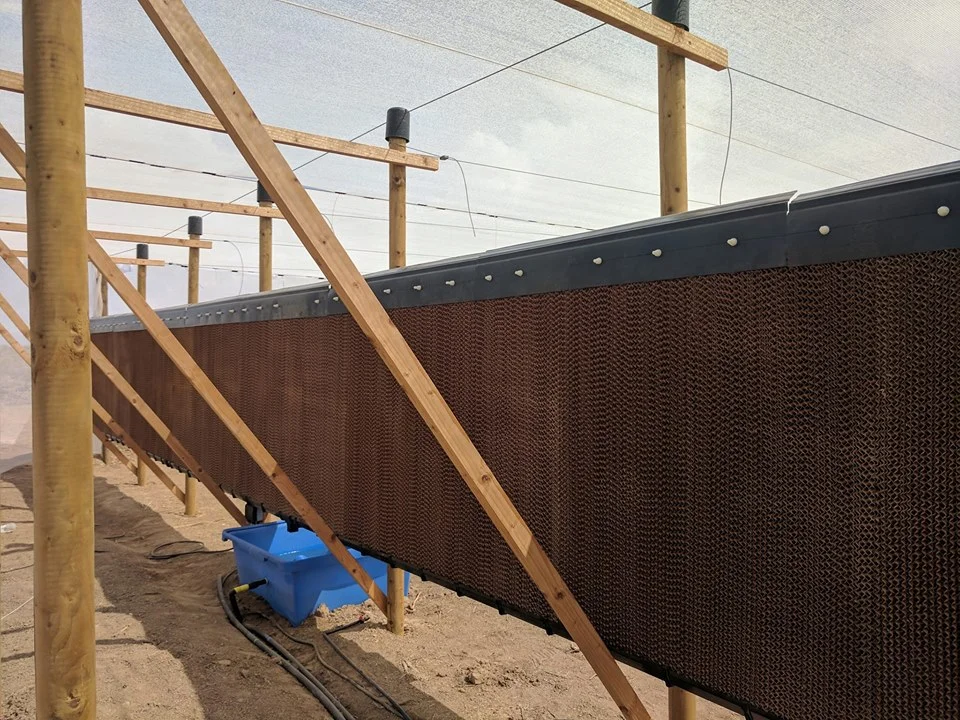 Evaporator wall ready for action