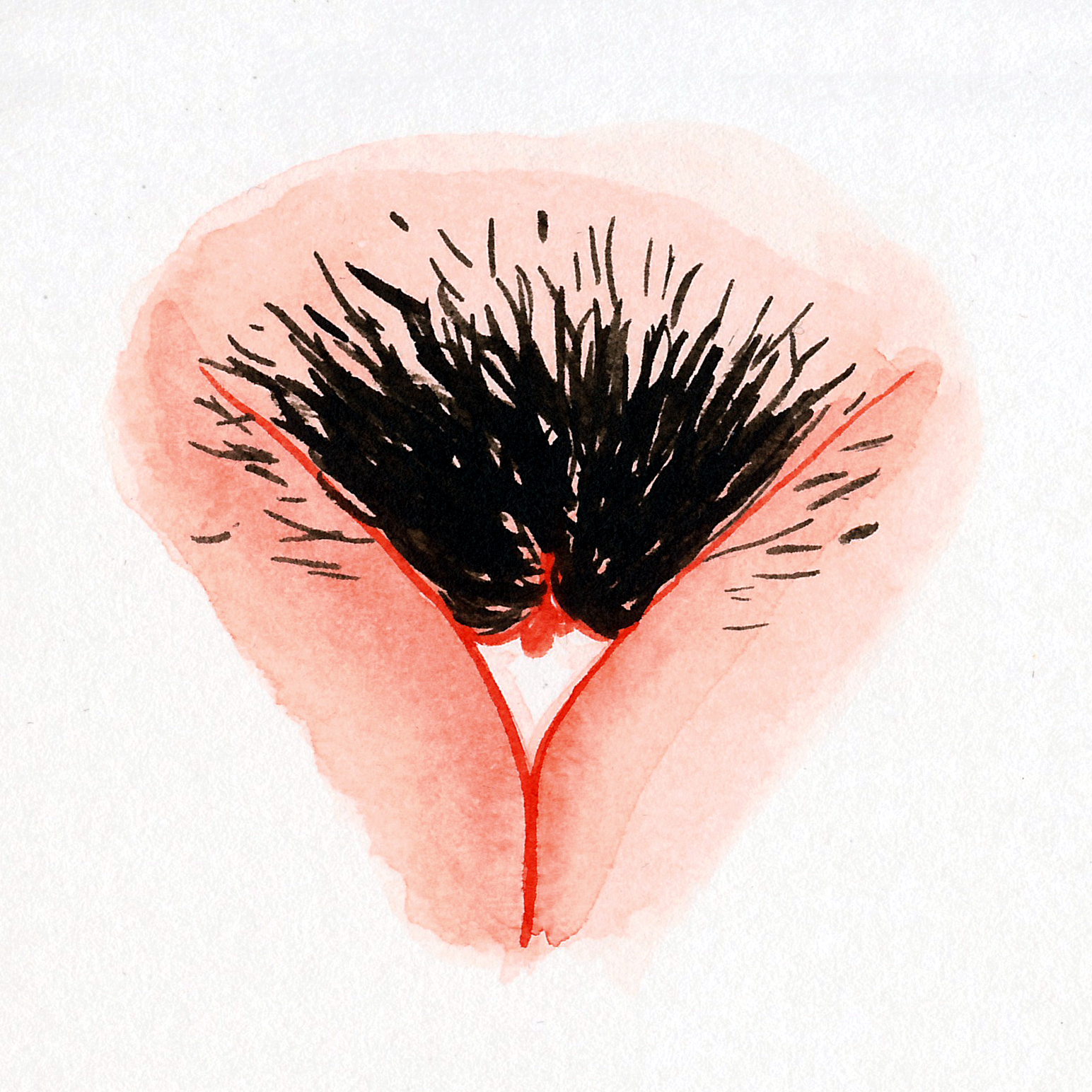 Hilde Atalanta - The Vulva Gallery - Period 6.png