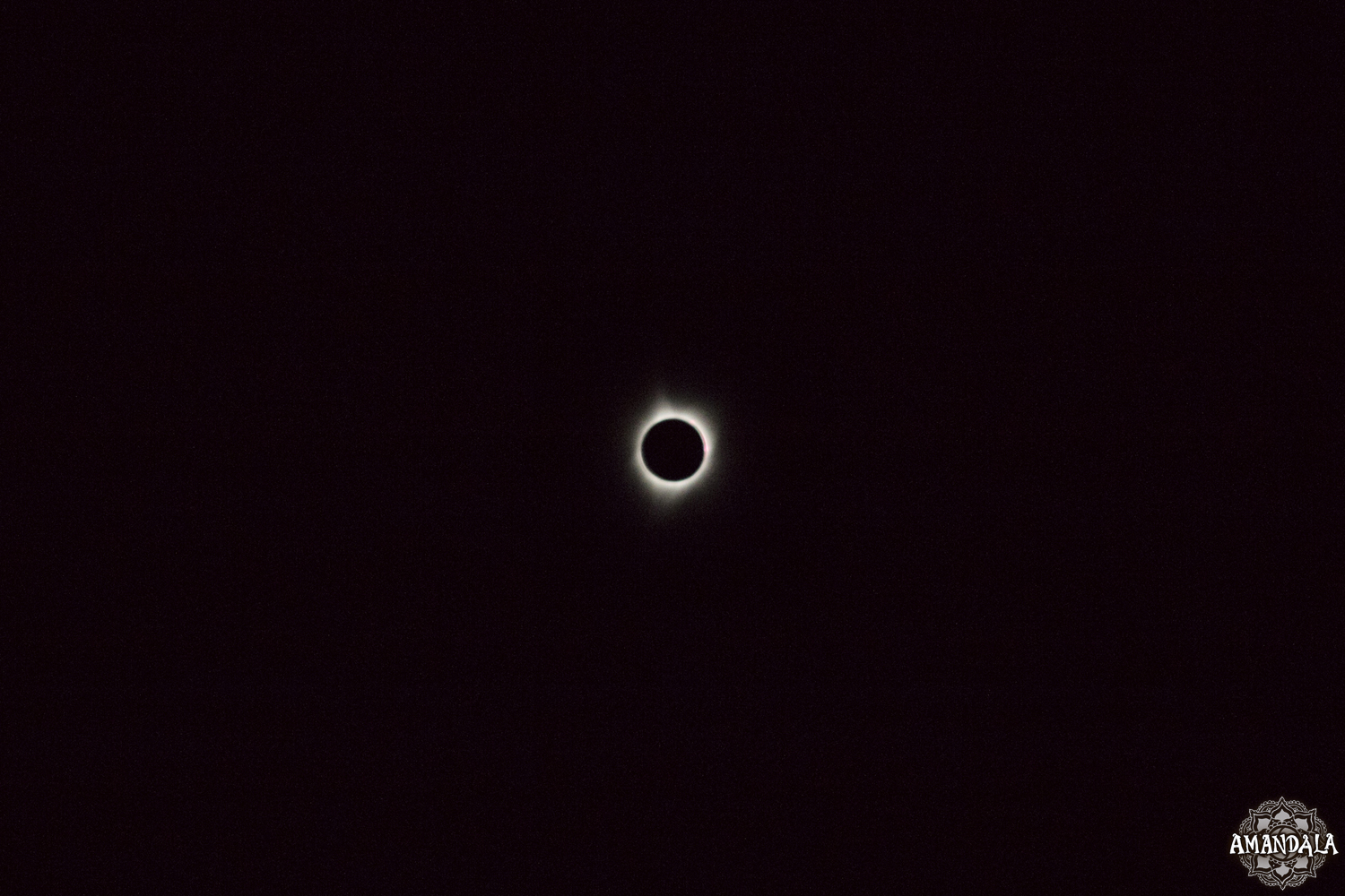 Eclipse (378).jpg