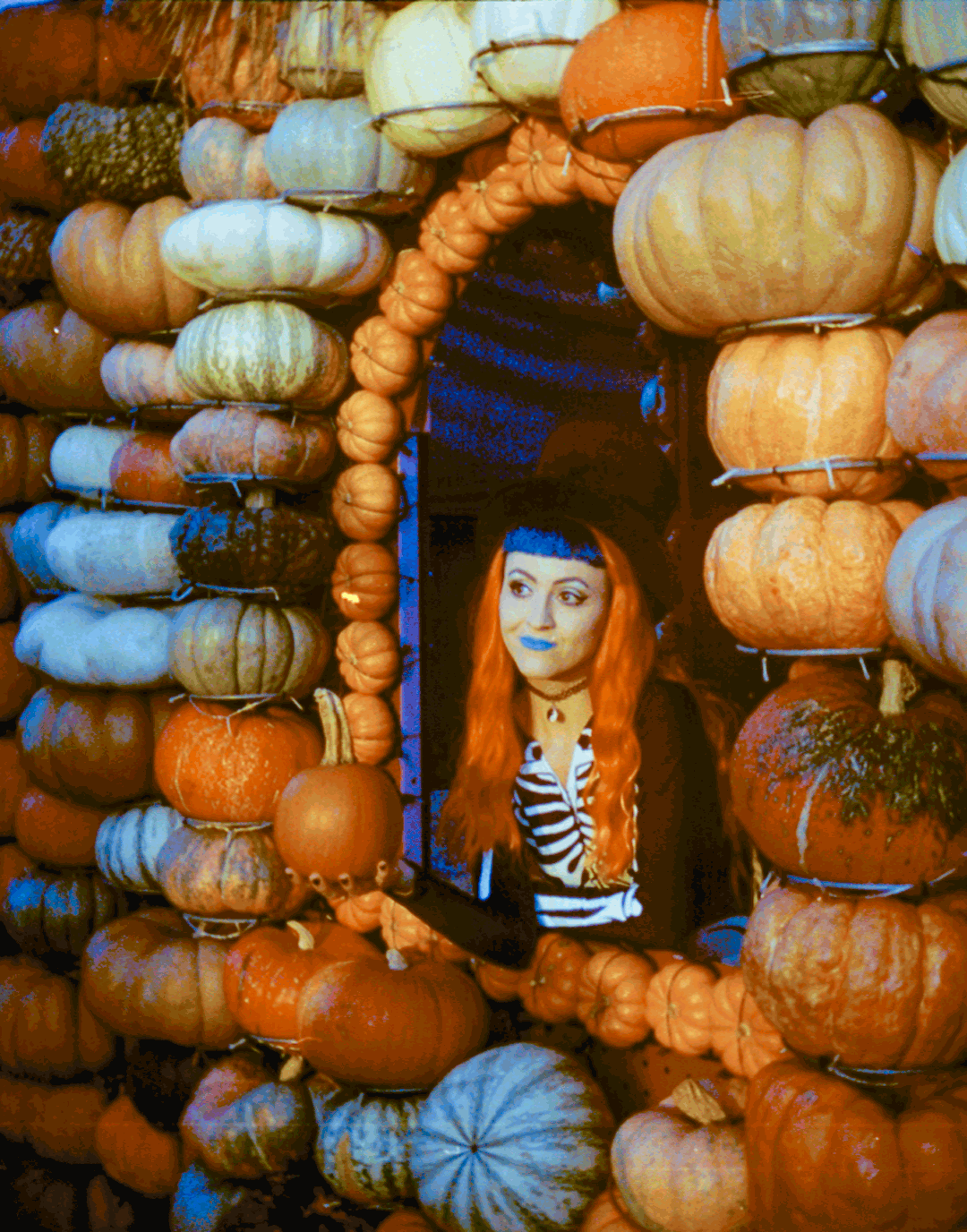 pumpkin patch (1)a.gif