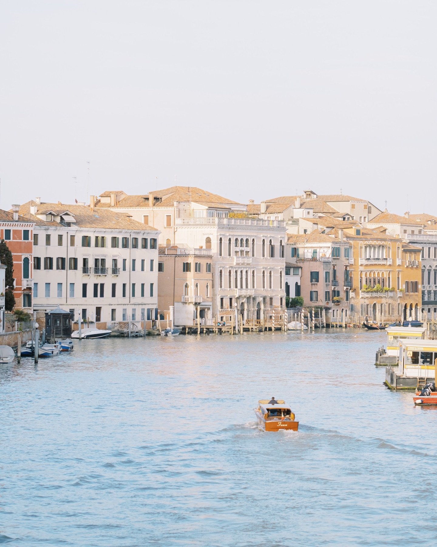 Venice is the best city to wander and lose count of the number of bridges crossed and the variety of cicchetti noshed! I have filled my home with little photos of my time there and sweet prints from the lovely @plumplumcreations 🖼️ In many ways, pho