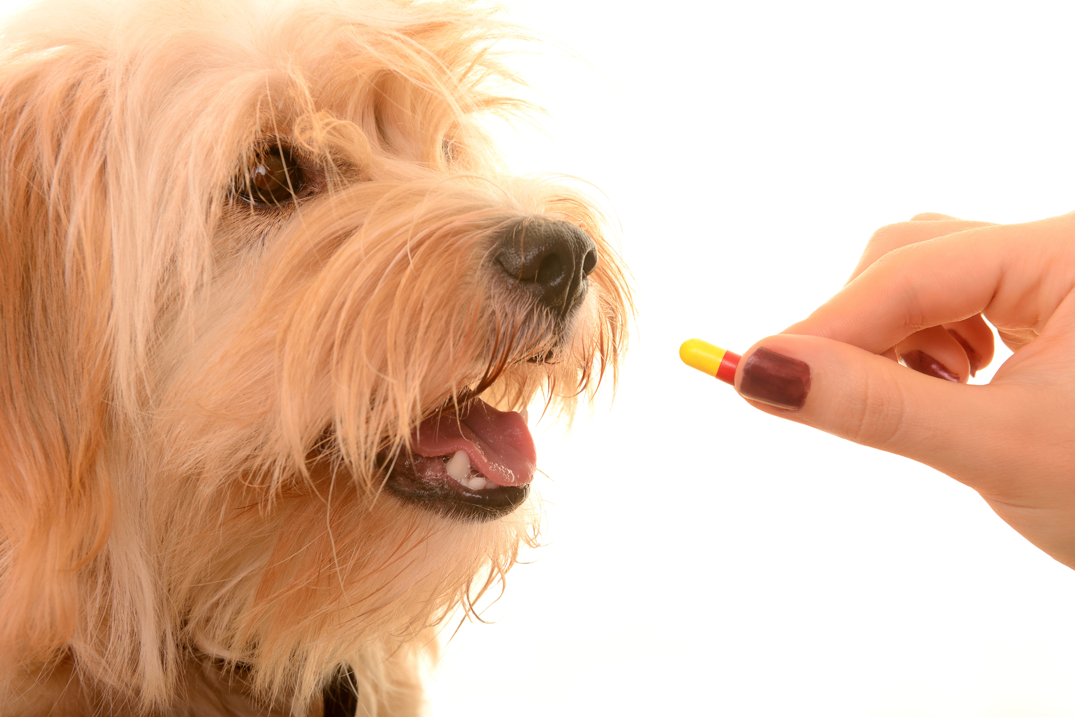 Photo by minemero/iStock / Getty Images