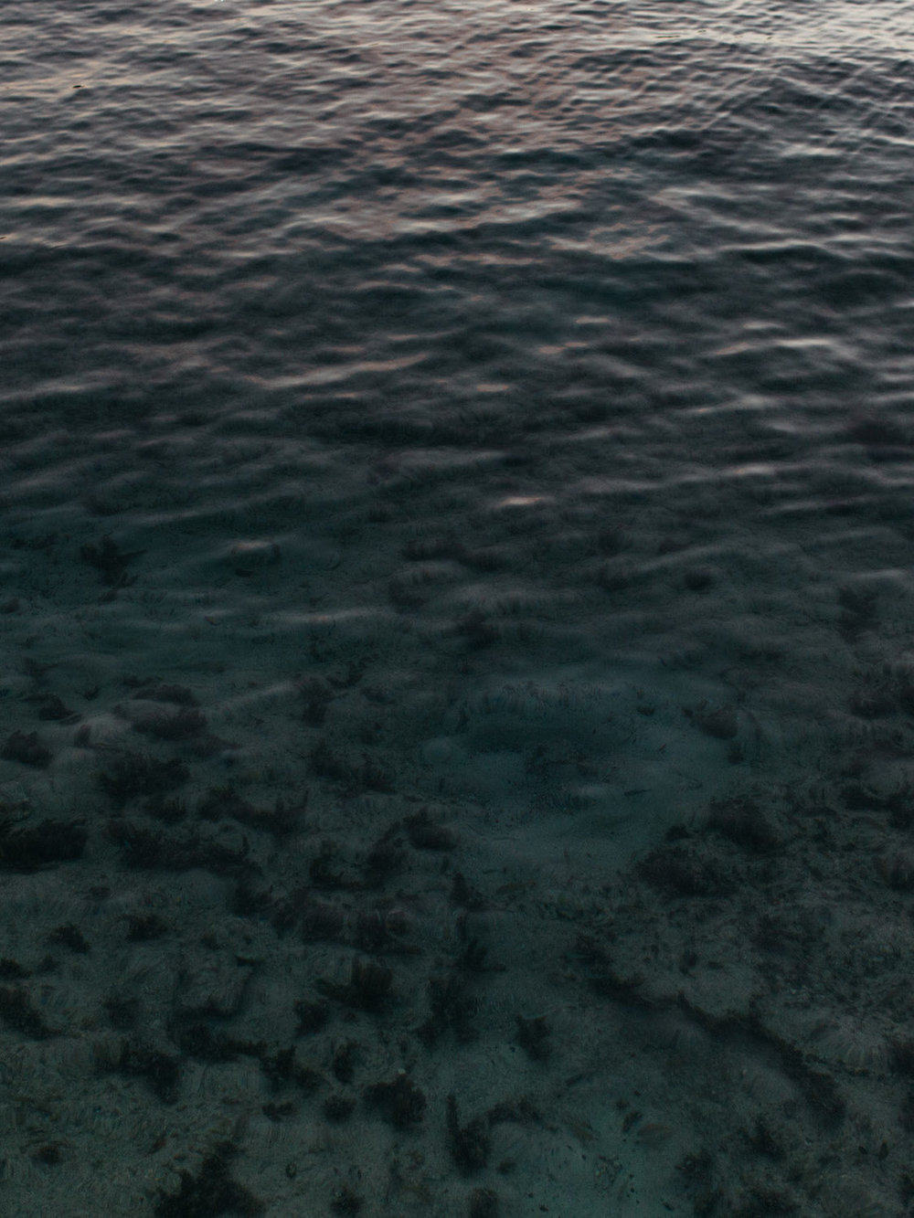 static1.squarespace-7.jpg