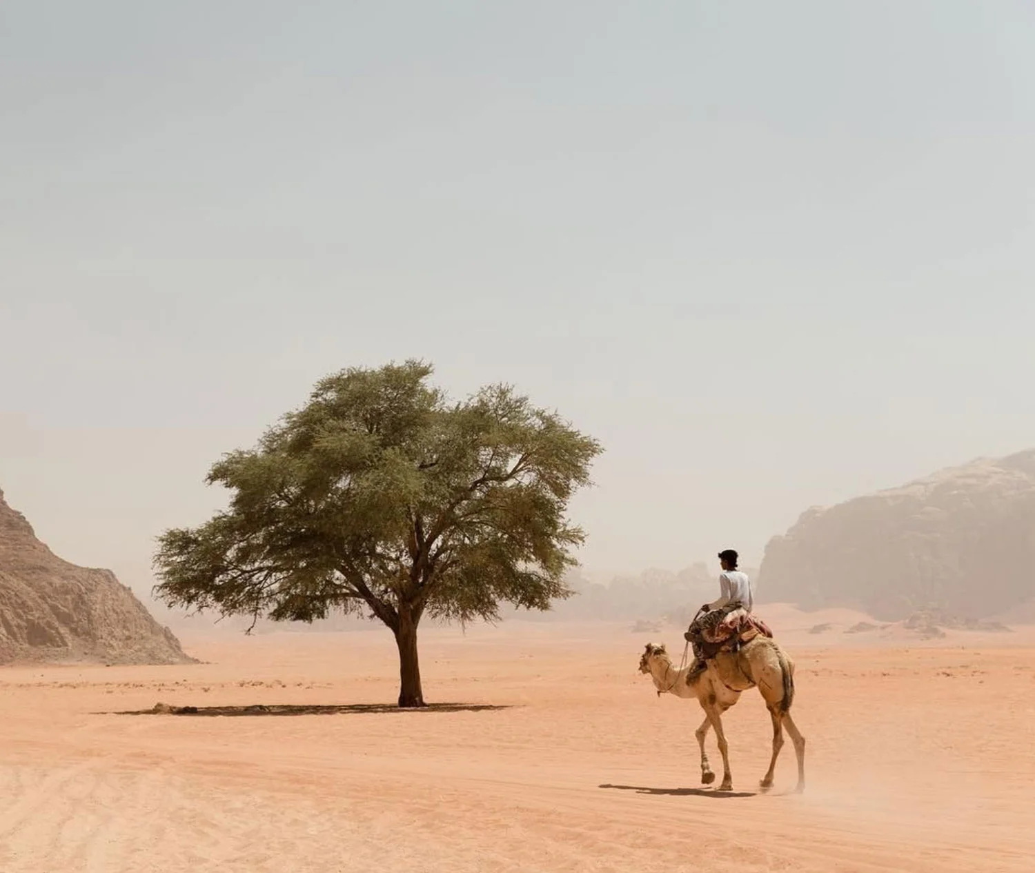 Beauty In The Desert