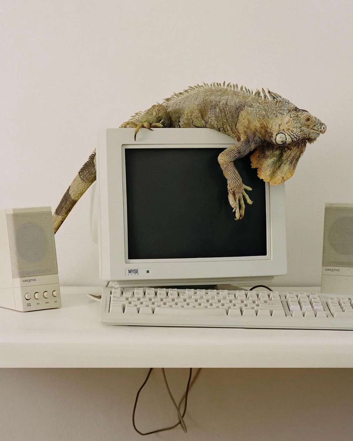 Slow Moving Tuesdays