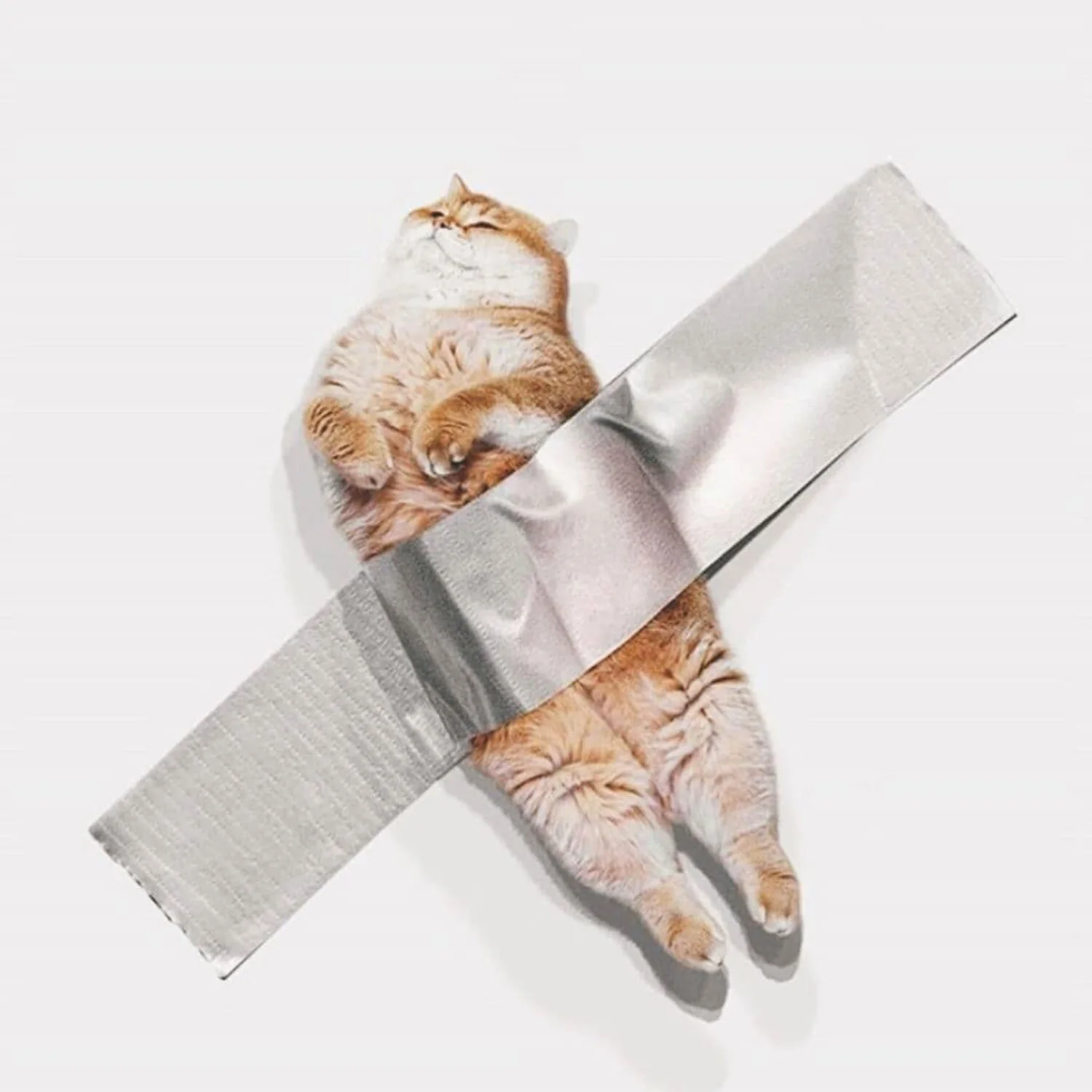 Duct-Taped Cat