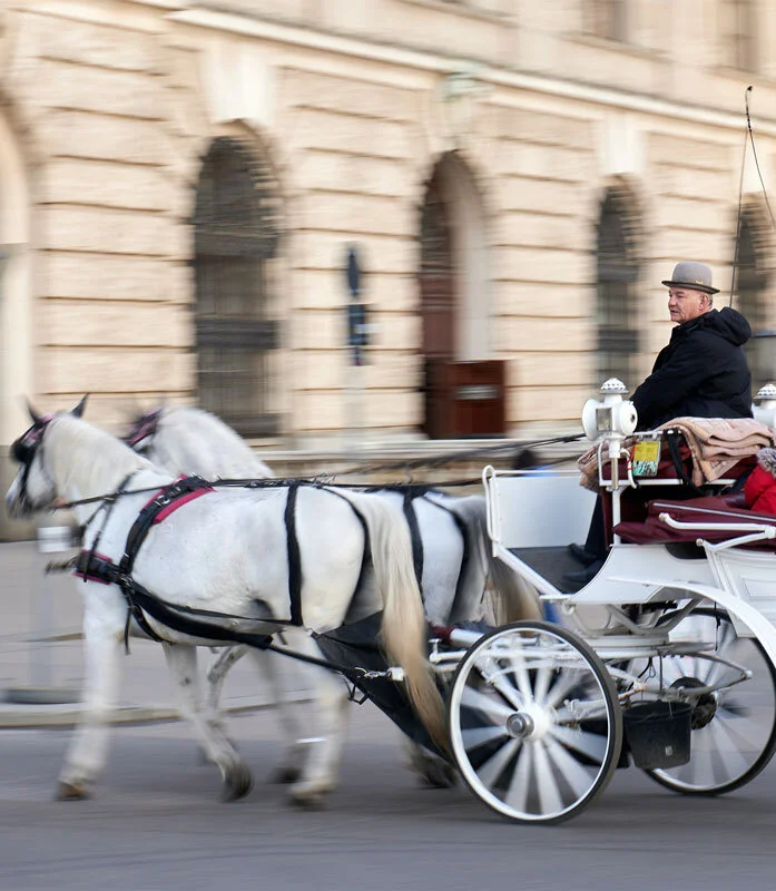 With No Tourists, Vienna's Famous Horse-Drawn Carriages Deliver Lockdown Meals