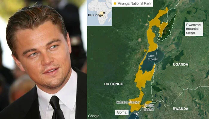DiCaprio Joins Gorilla Park Campaign After Attack