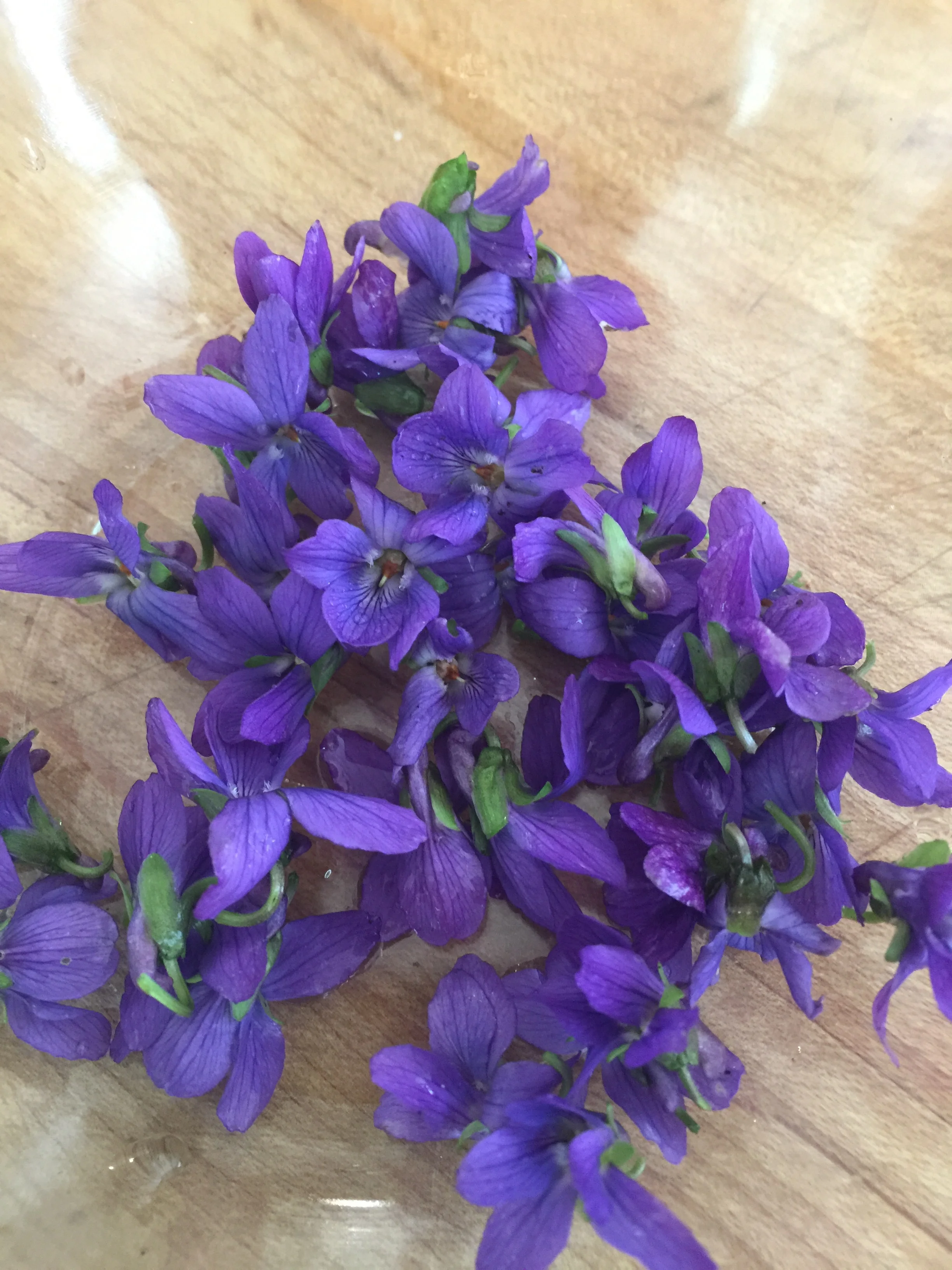 Every year that I see these bloom I think of Paris and of young Joseph. But mostly as I inhale I think of the return of spring and all the beauty that is on the horizon.