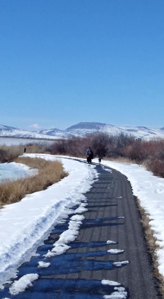 Trail in snow.jpg