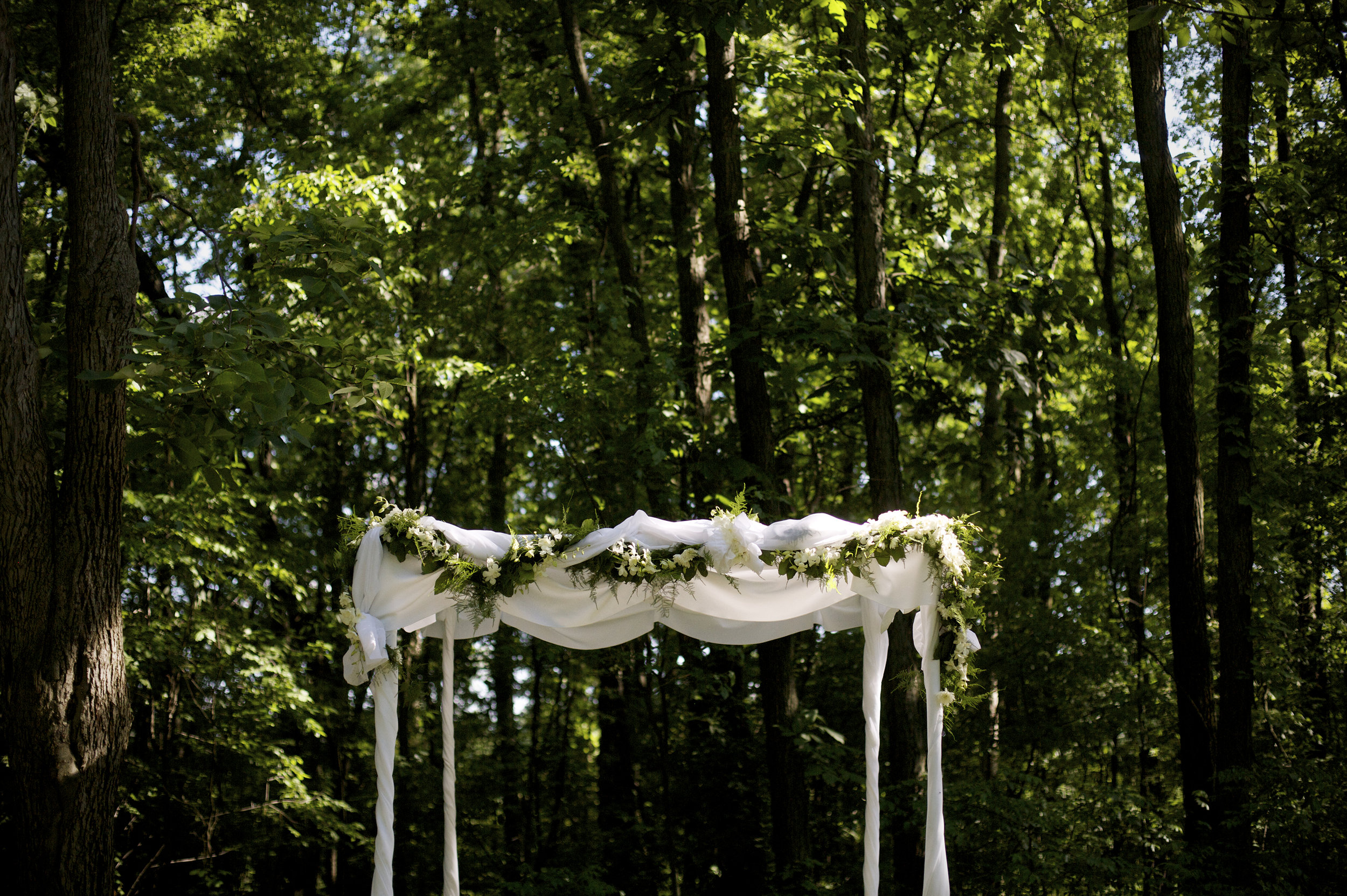 Backyard Weddings002.JPG