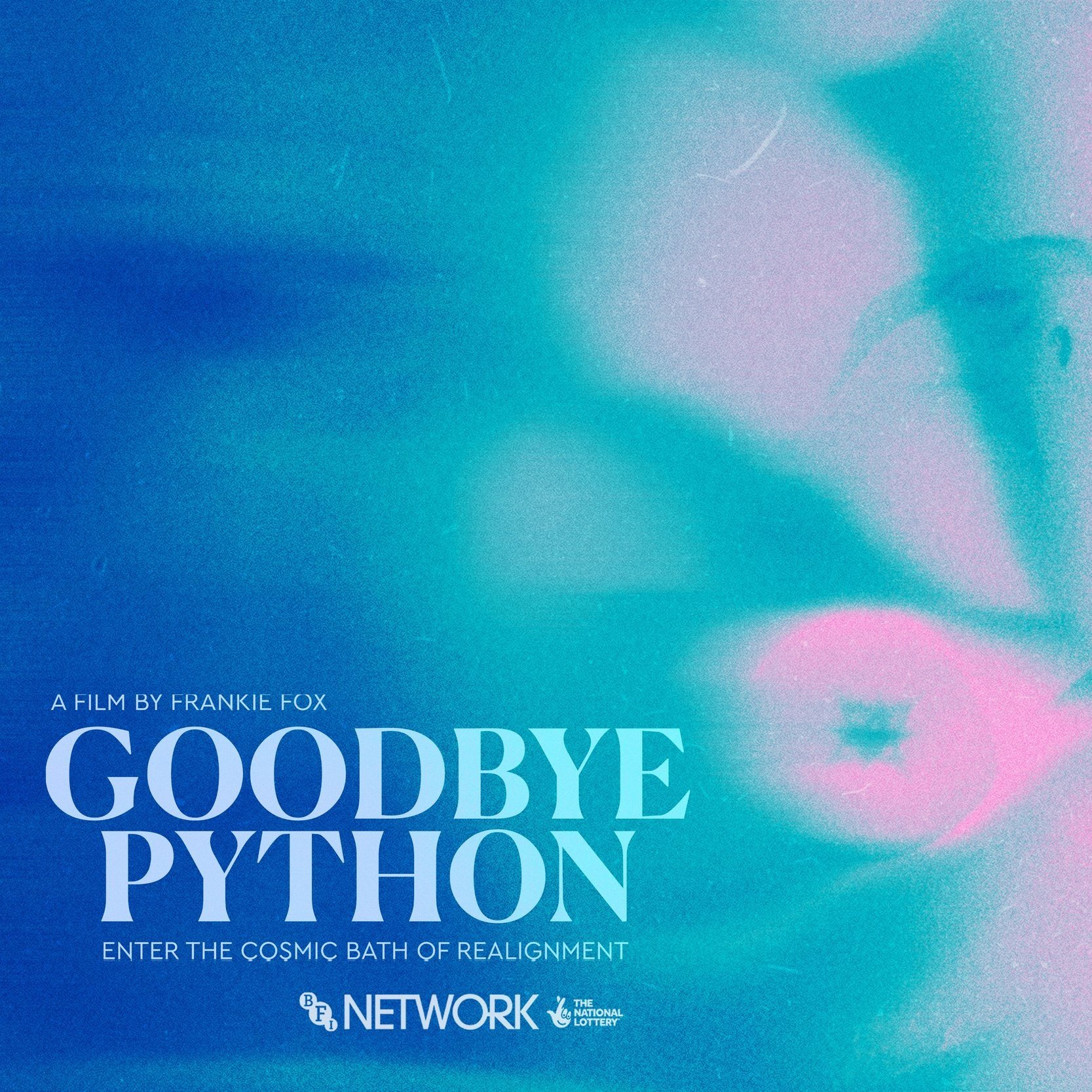 1. Goodbye Python_Flyer_V3.jpg