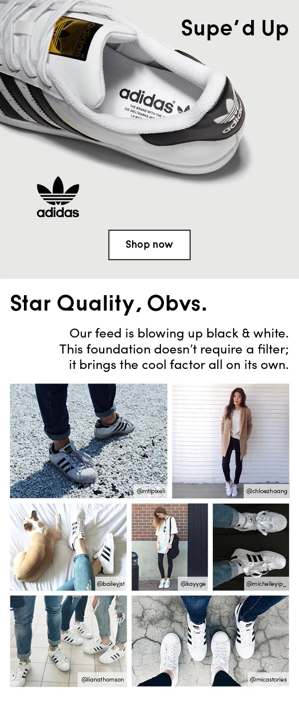 Email Marketing: Little Burgundy