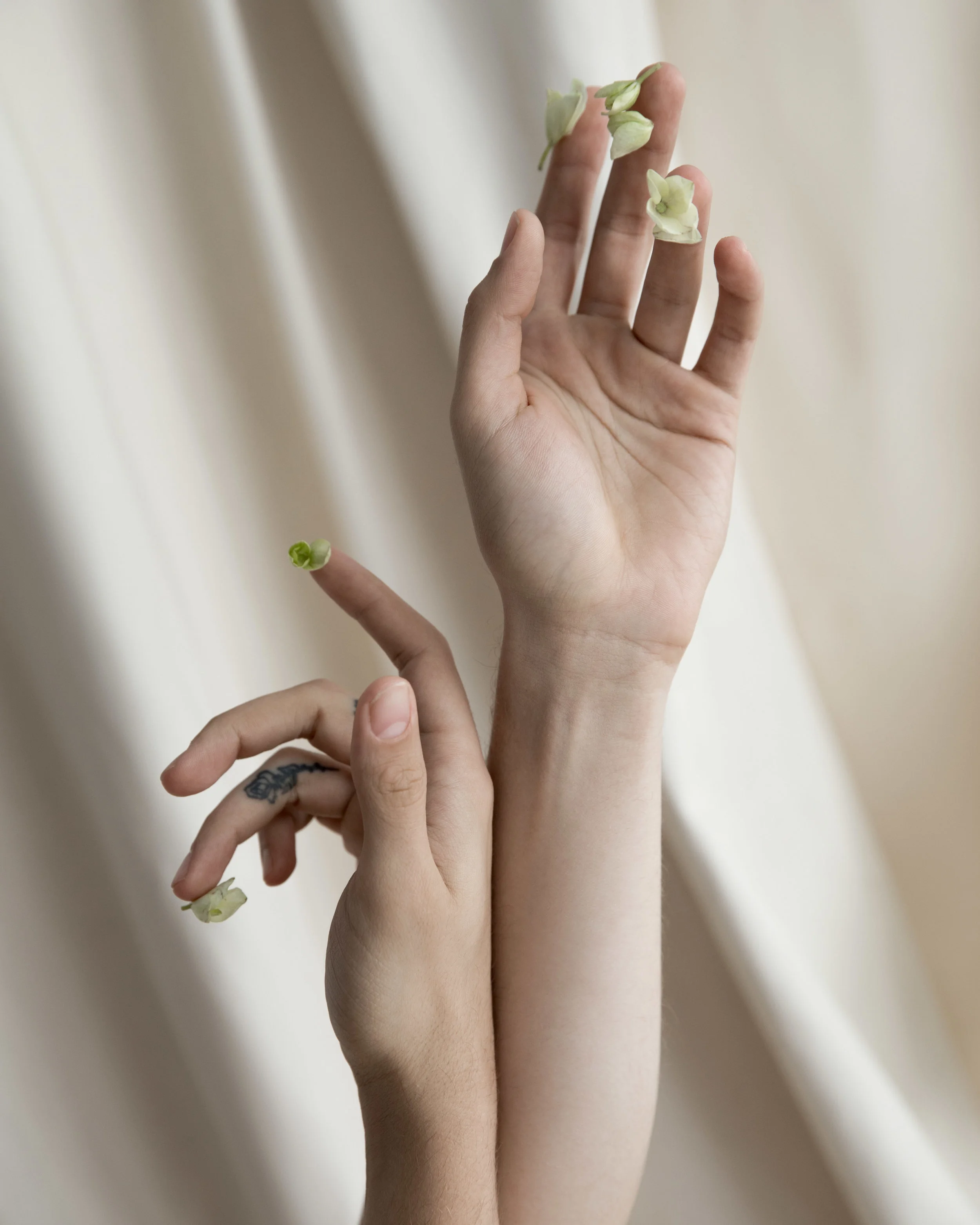 root/less | Editorial for PANSY Magazine