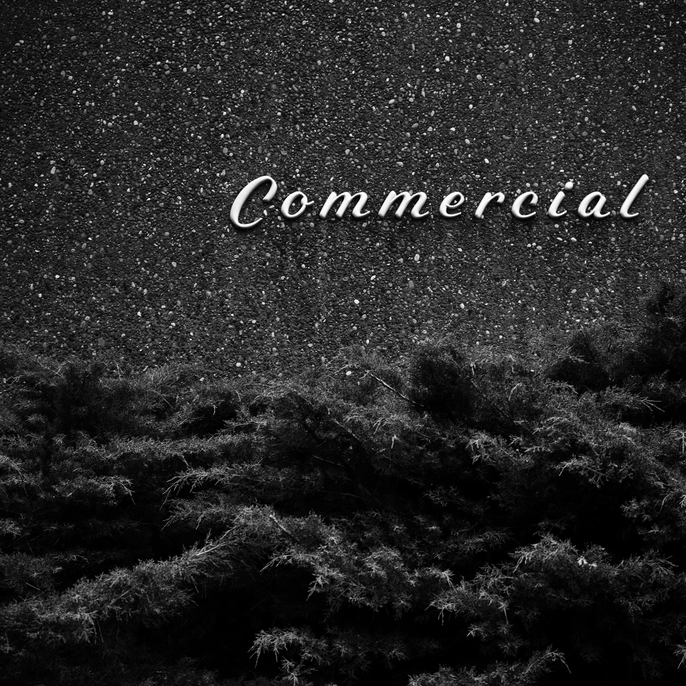 commercial.jpg
