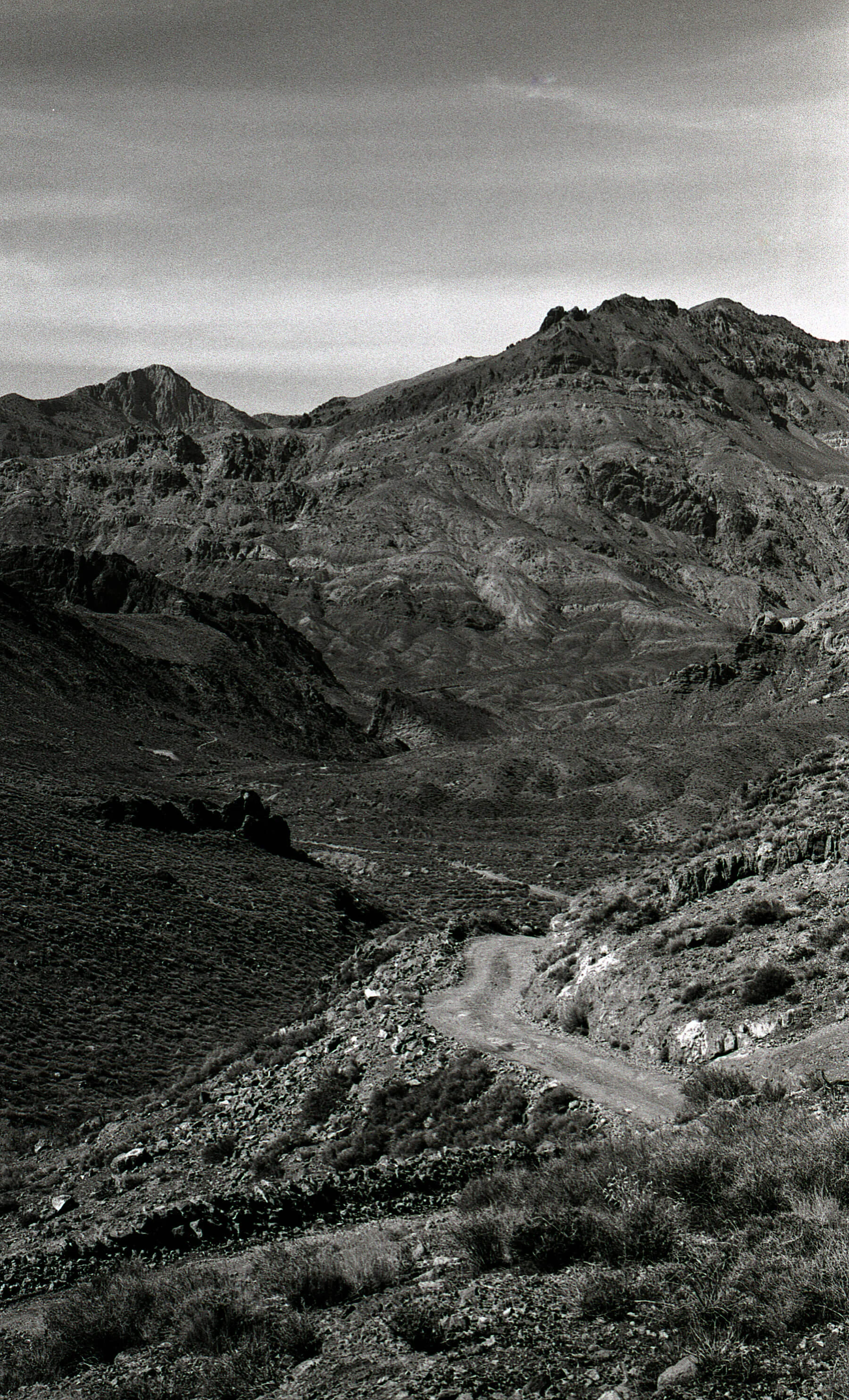0549_017.jpg