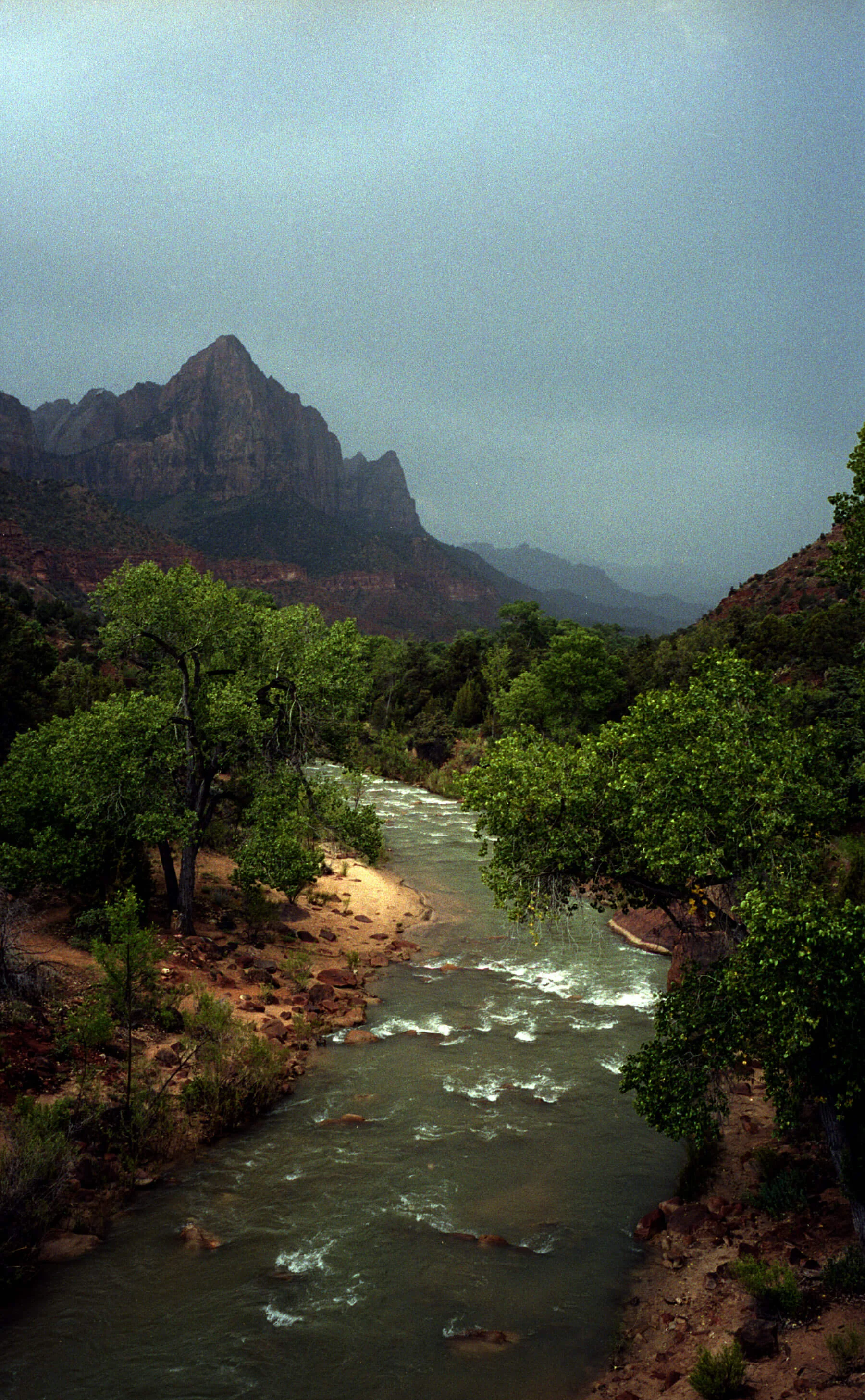 0013_010.jpg