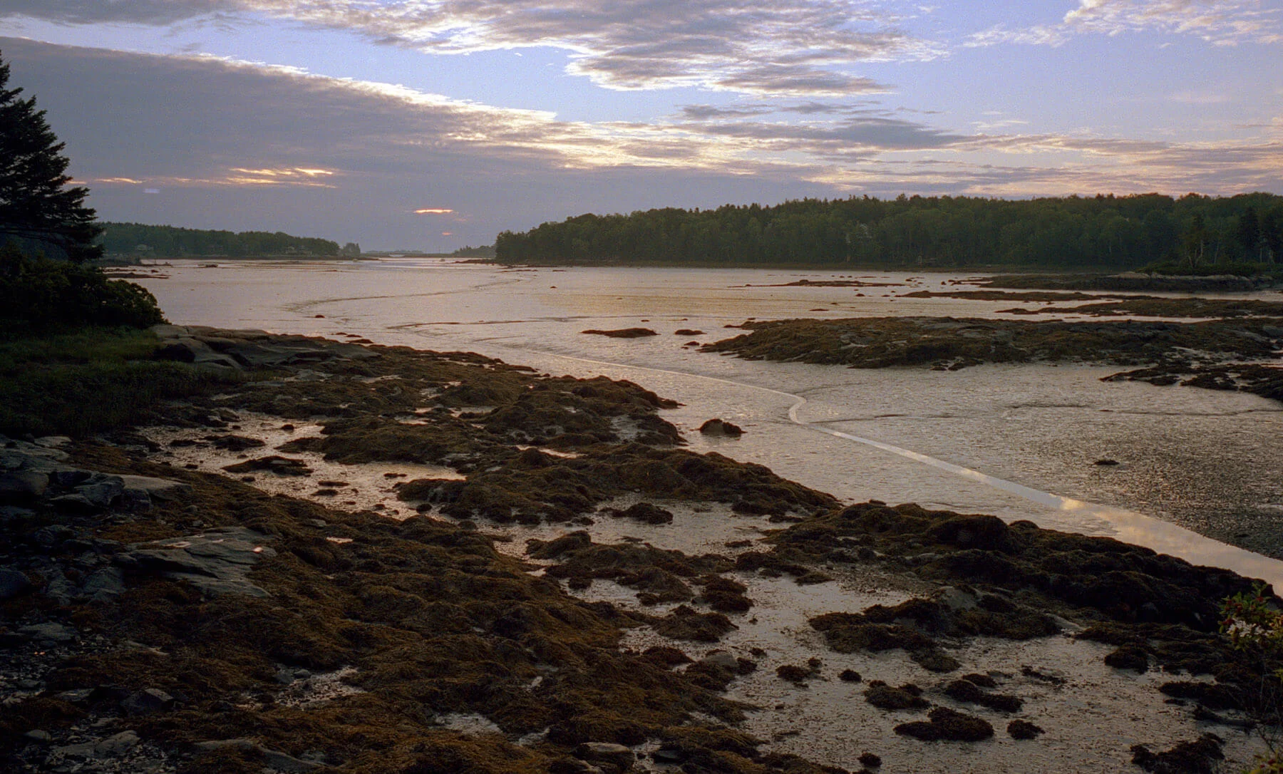 0030_015.jpg