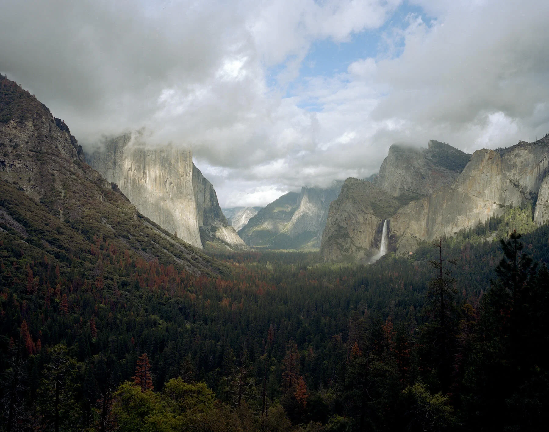 5201005.jpg