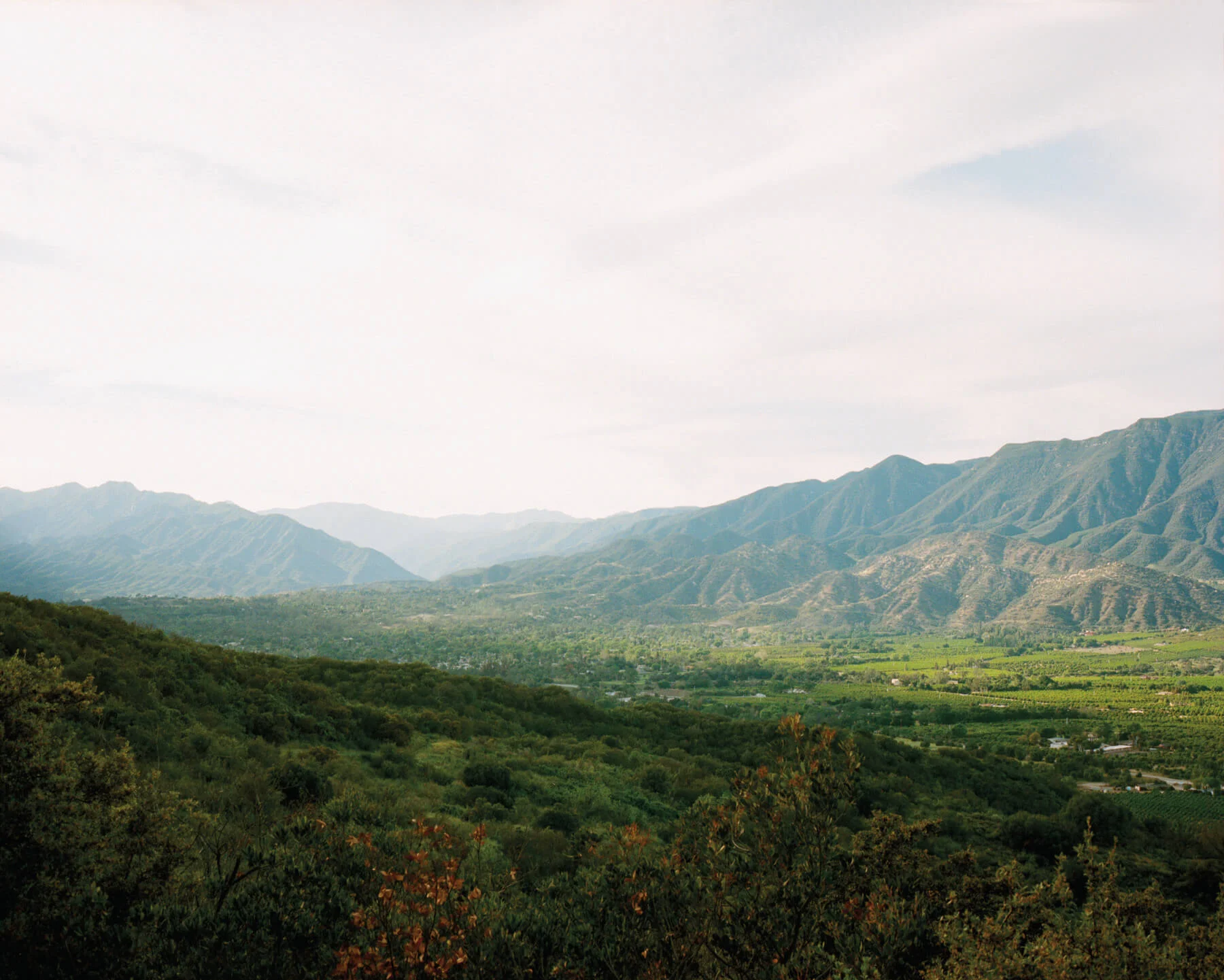 TopaTopa-HR (136).jpg