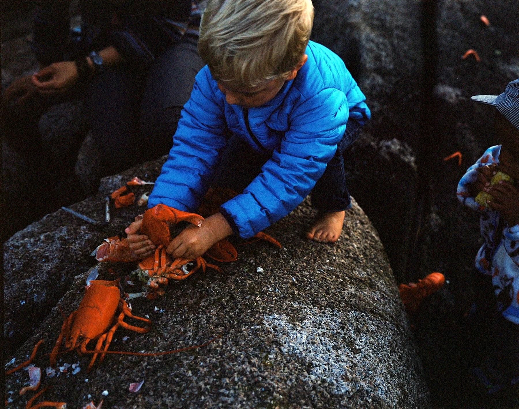 2430_A656254_004.jpg