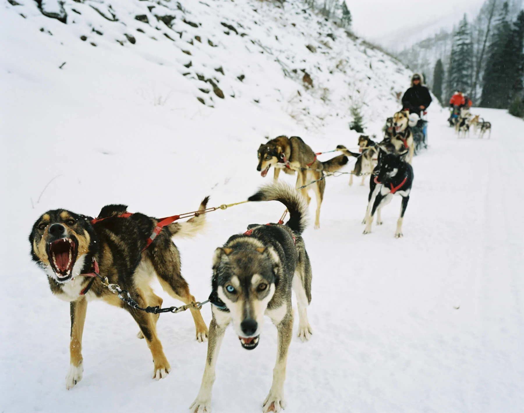 4014_A657886_014.jpg