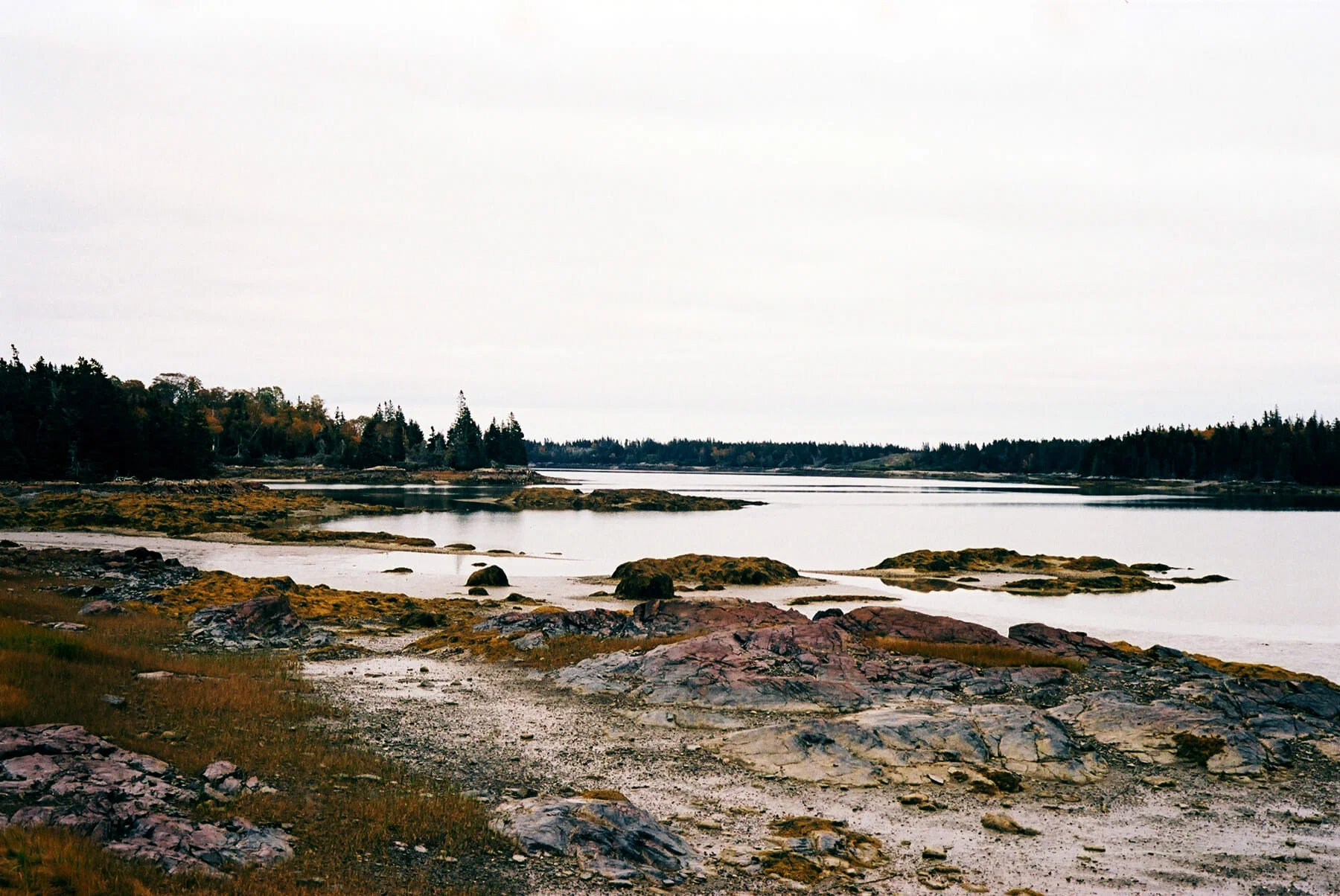 3071_A656948_004.jpg