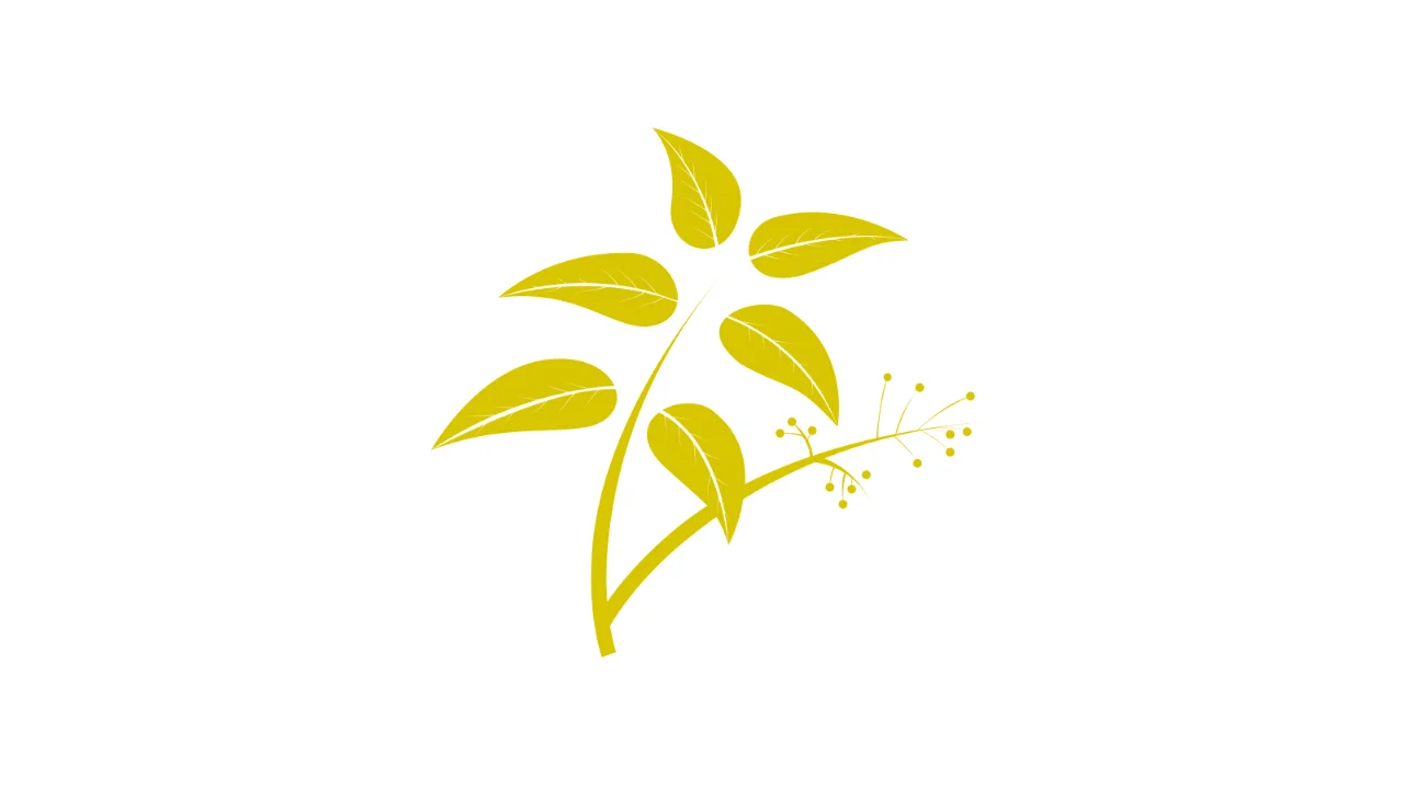 Verde Grow 18.jpg