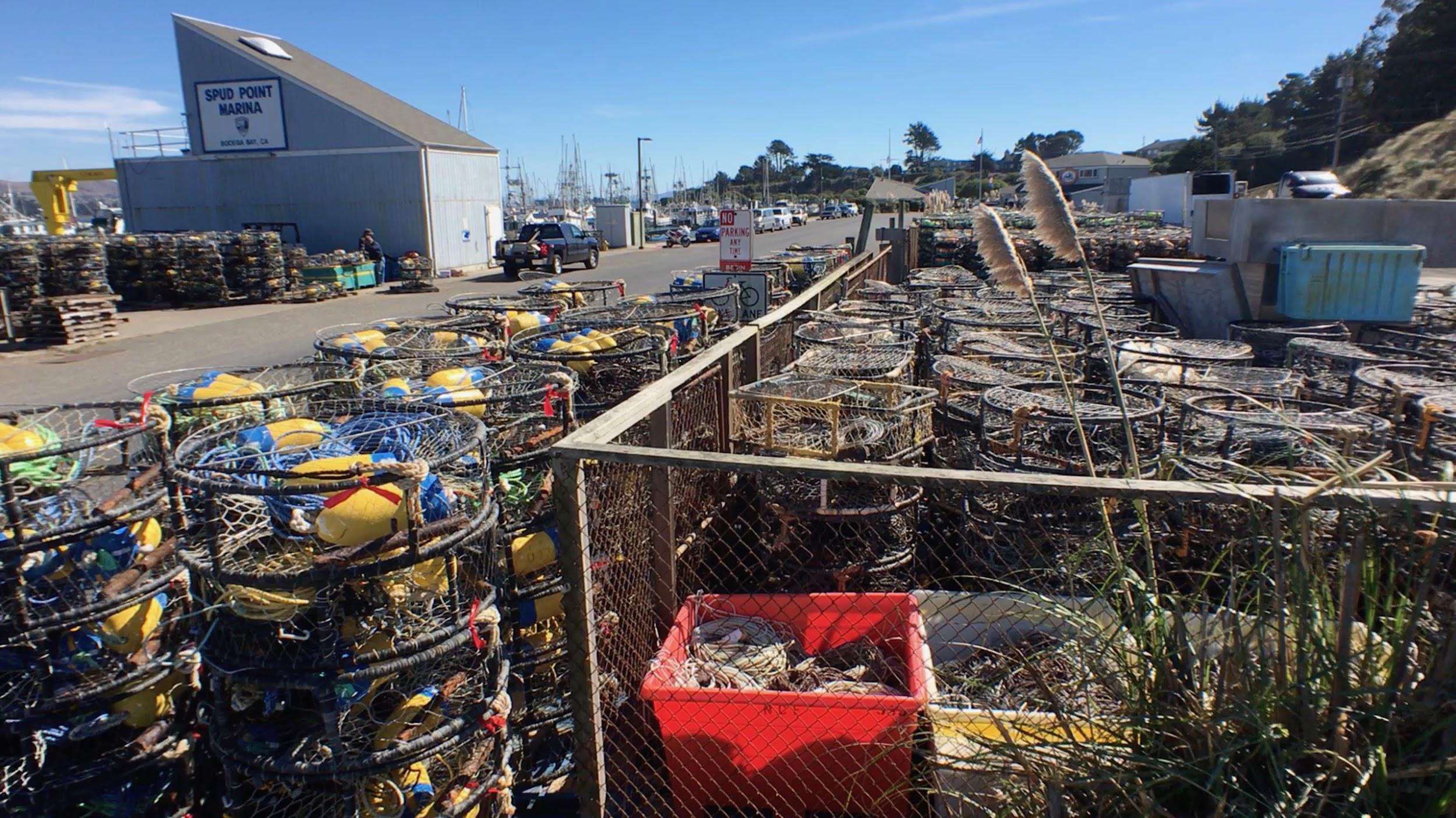 Heir Charley visits a crab fishery in Bodega Bay, CA, observing miles of crab pots.