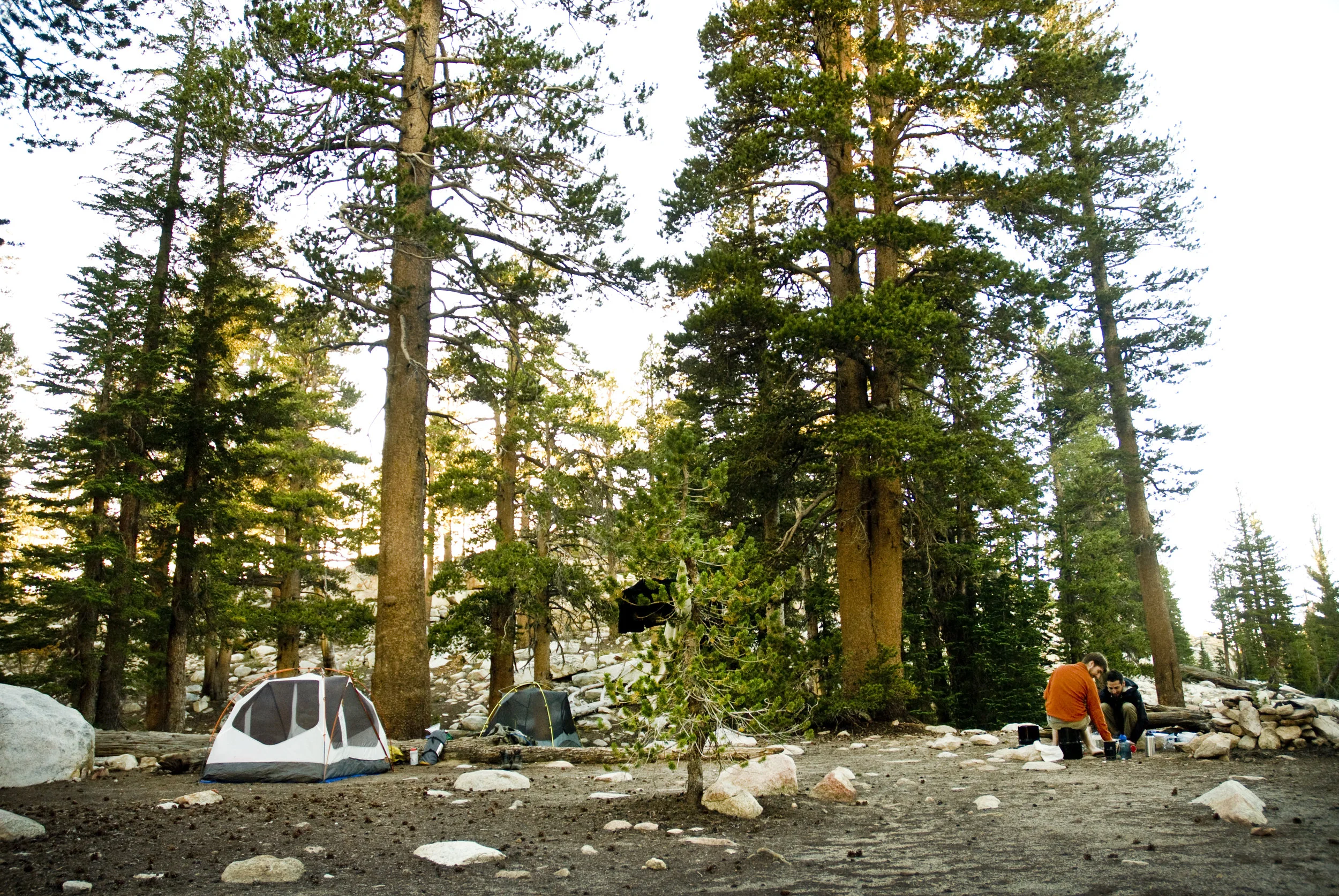 DSC_0097.jpg