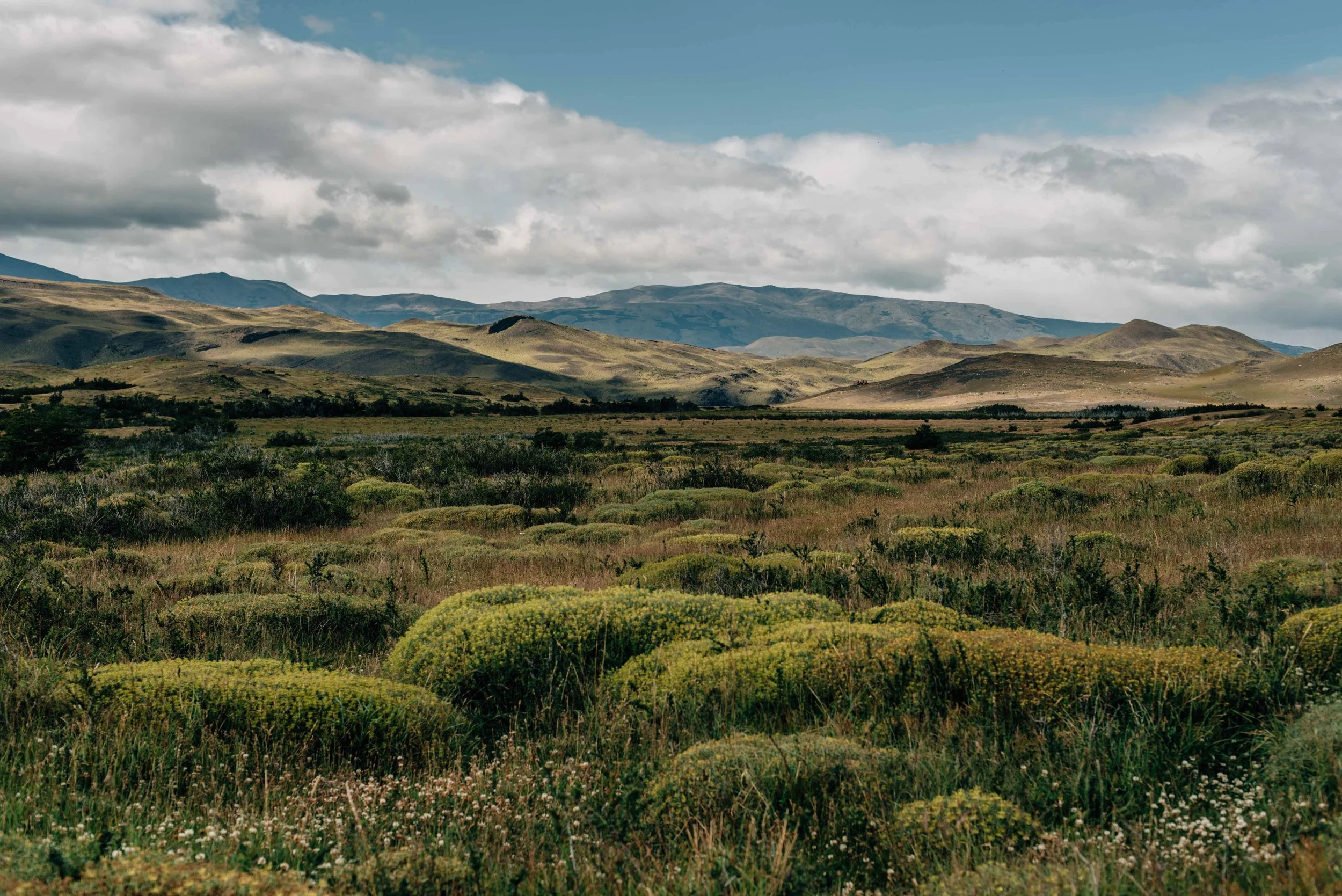 patagonia website-53.jpg
