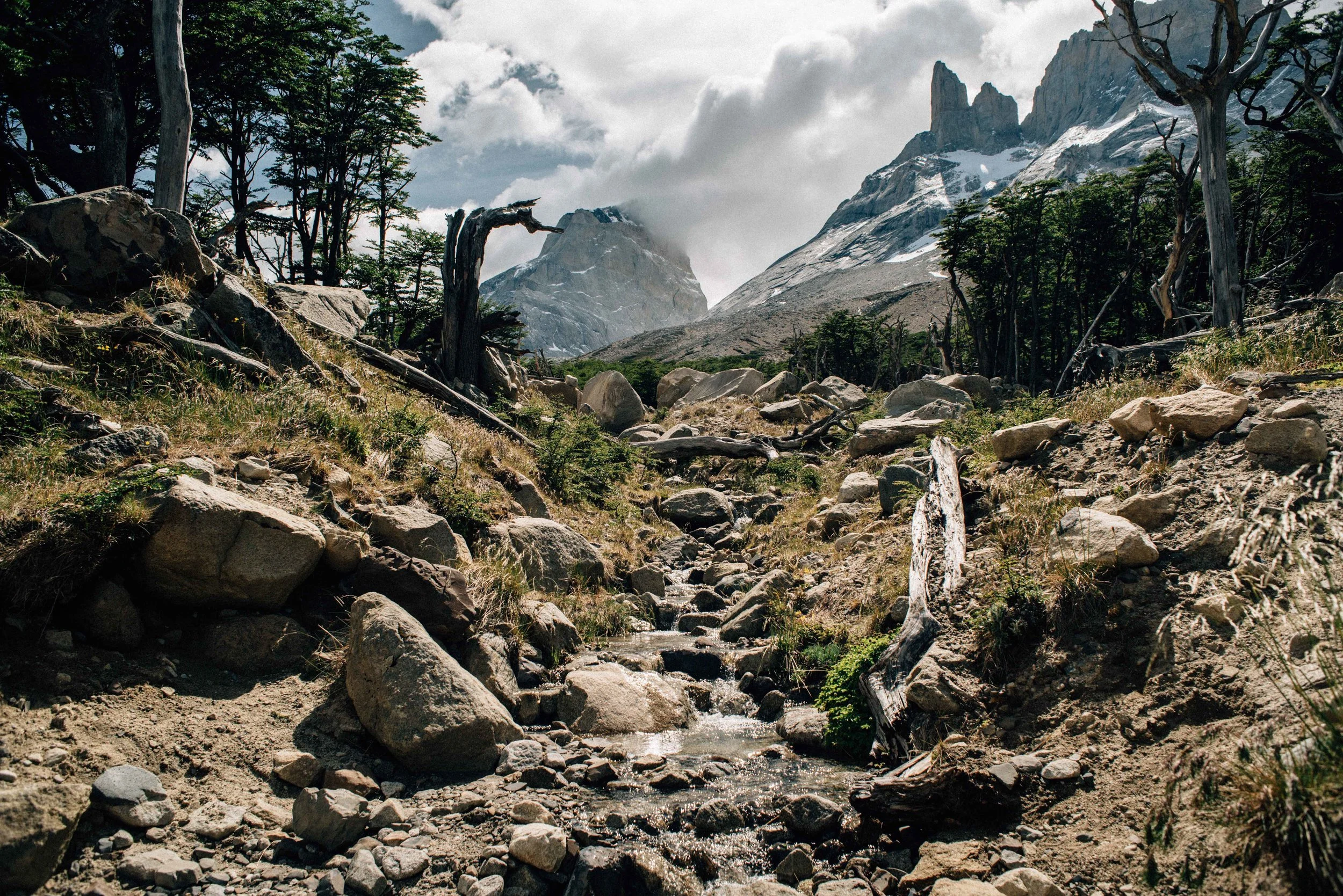 patagonia website-80.jpg