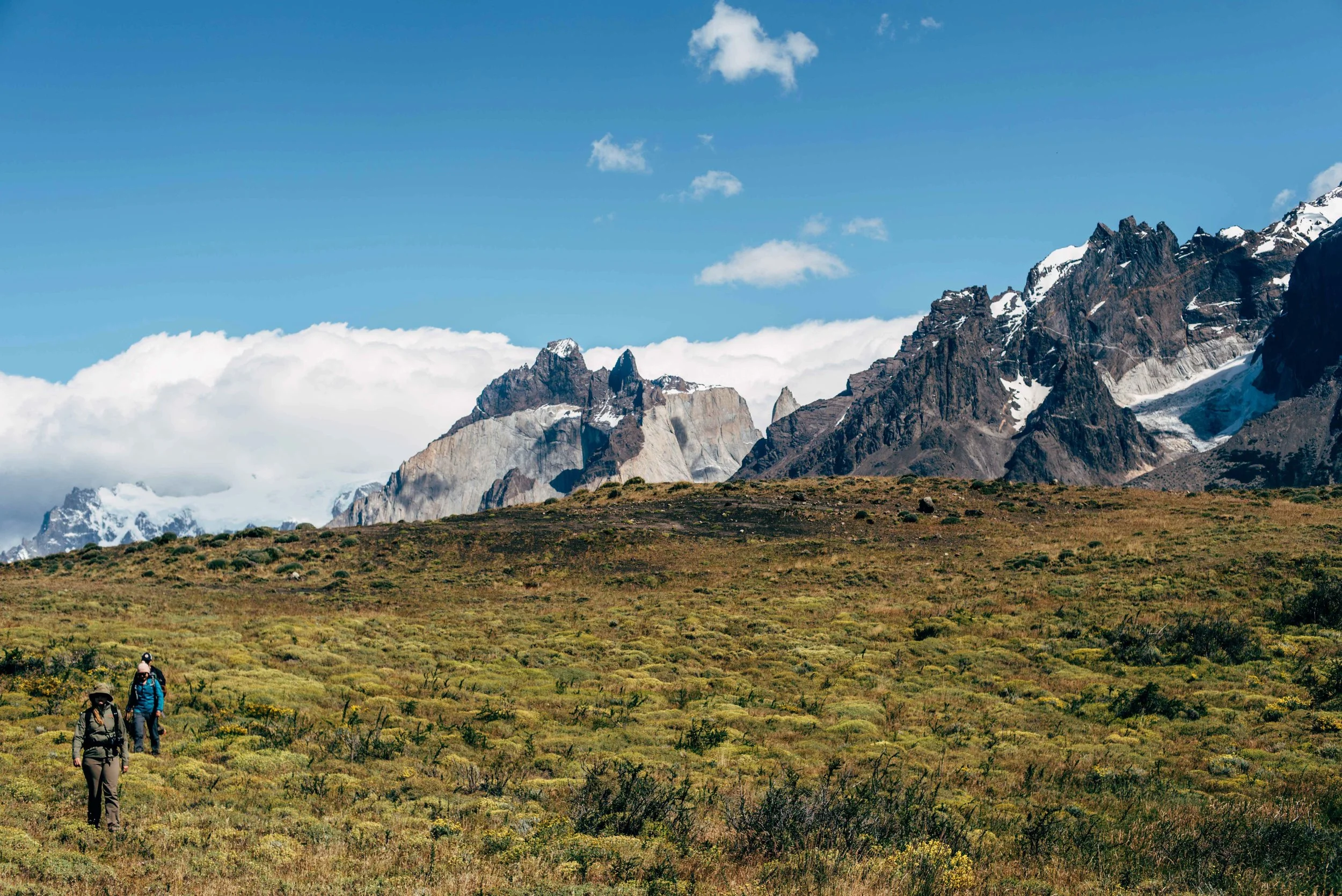 patagonia website-133.jpg