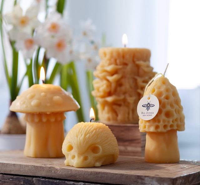 Big Dipper Wax Works