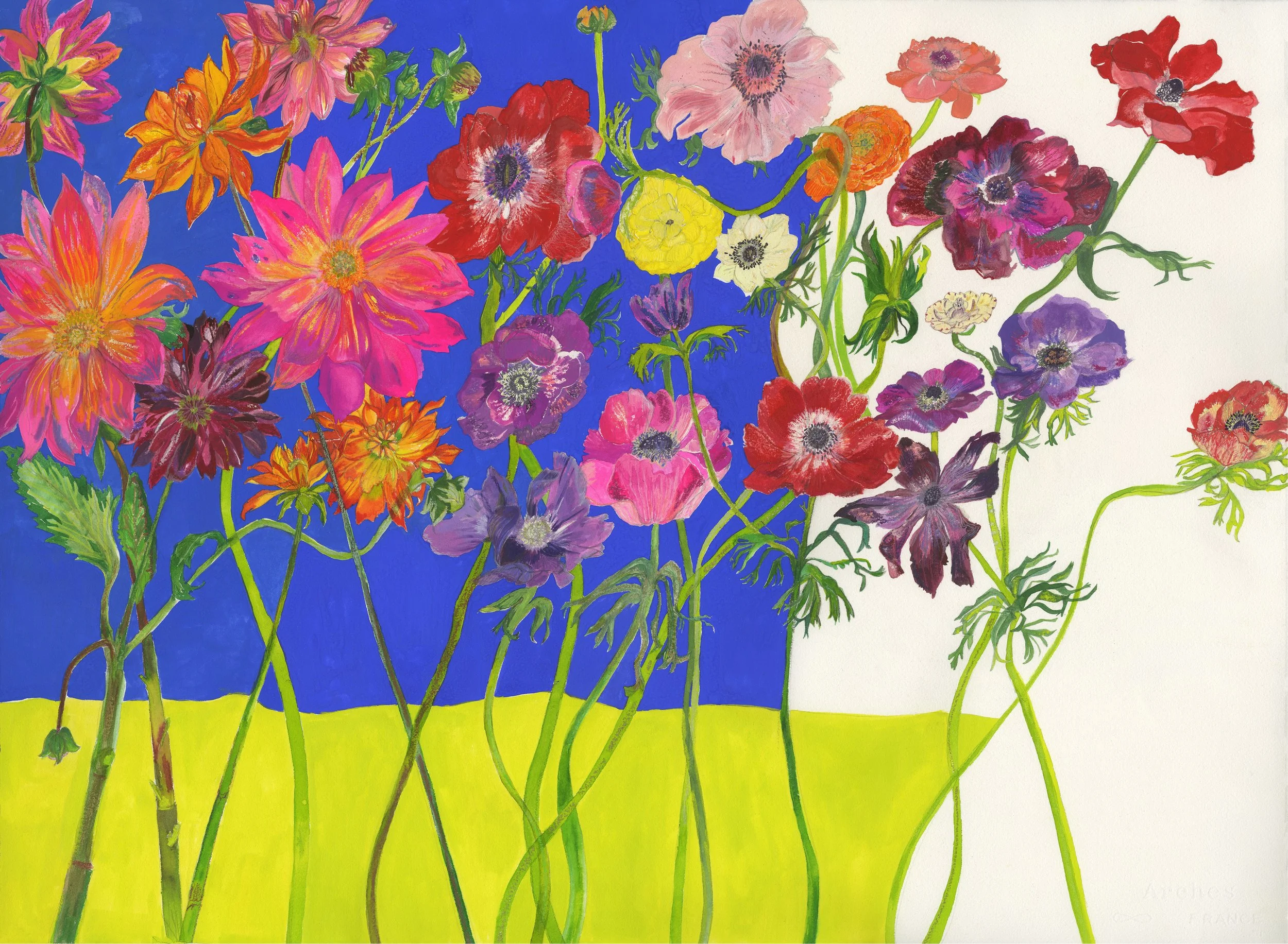 Flower_001a.jpg