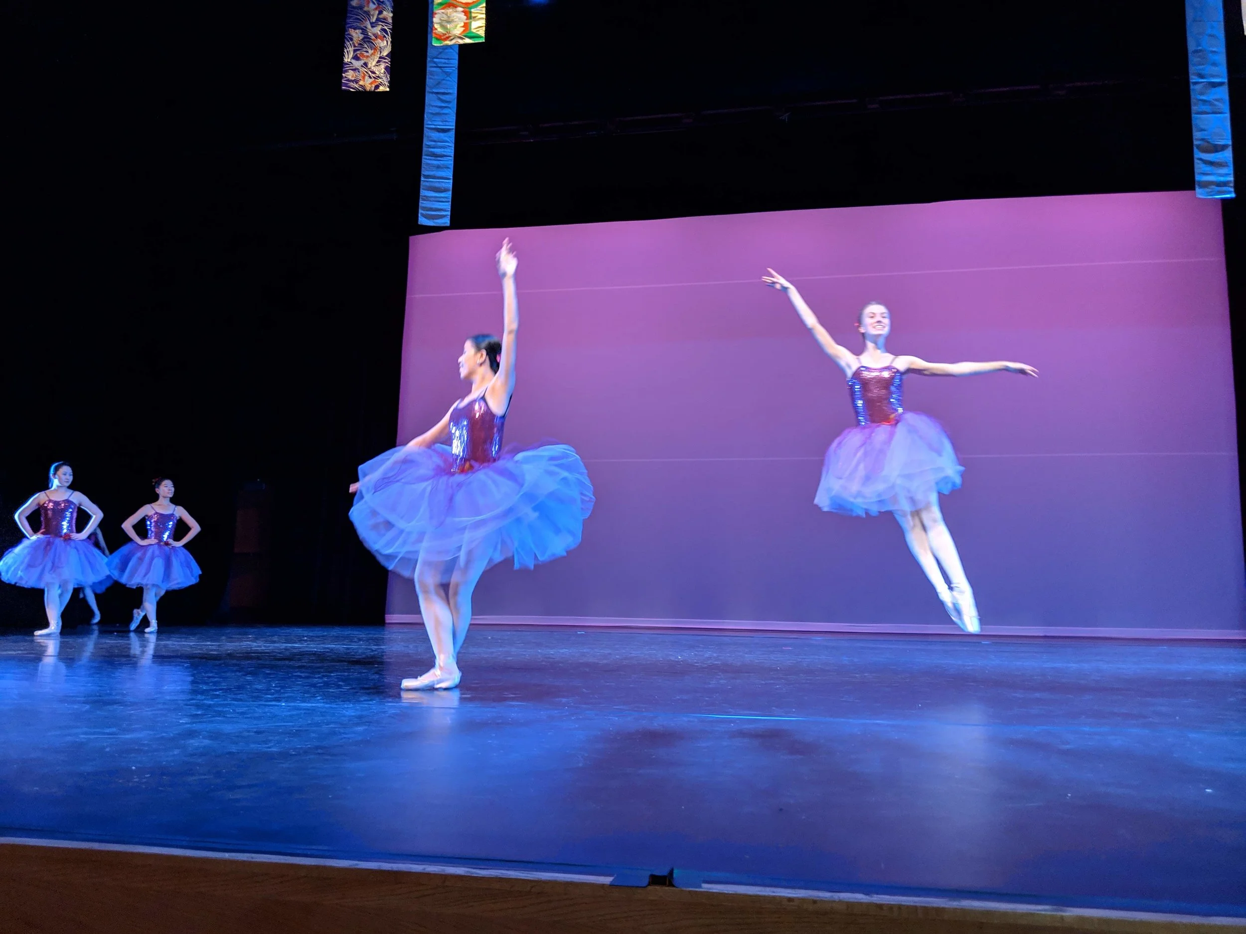 IMG_20190215_192648.jpg
