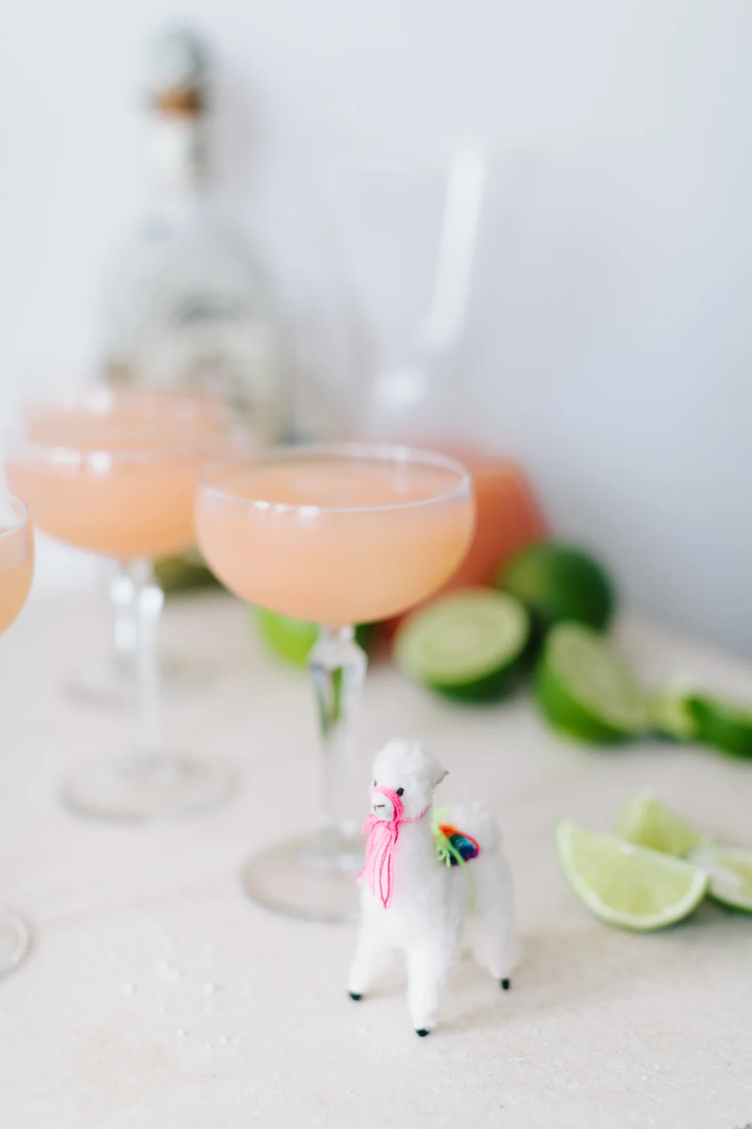 La Mejor Paloma (The Absolute Best!)