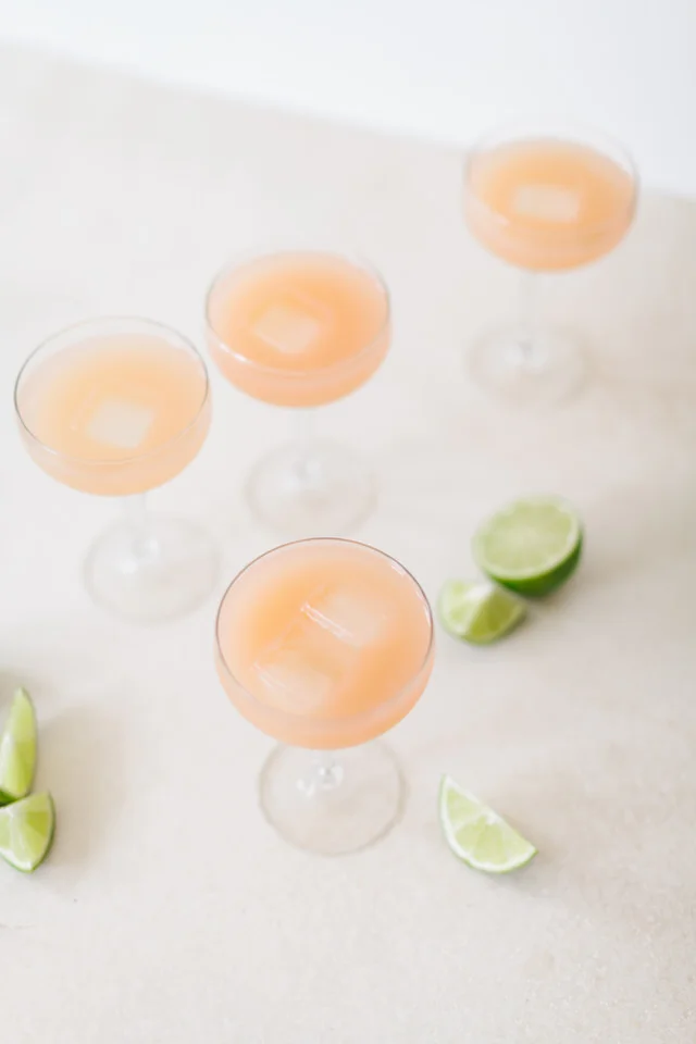 La Mejor Paloma (The Absolute Best!)