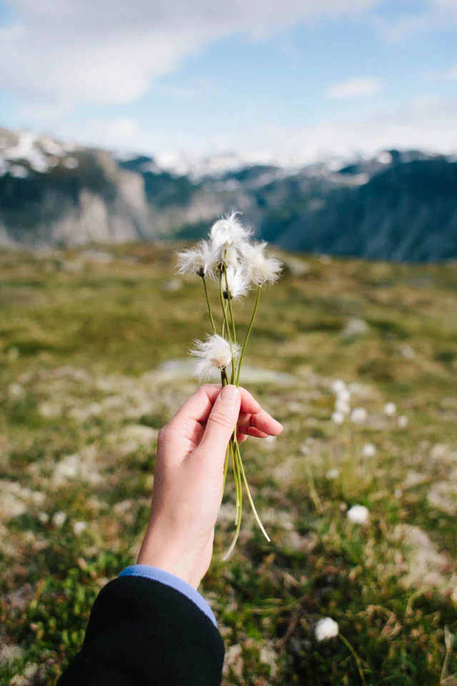 Norway | Jen Kay