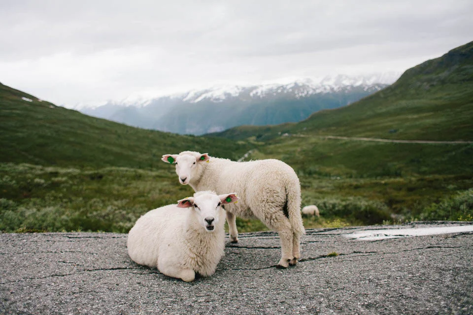Norway | Jen Kay