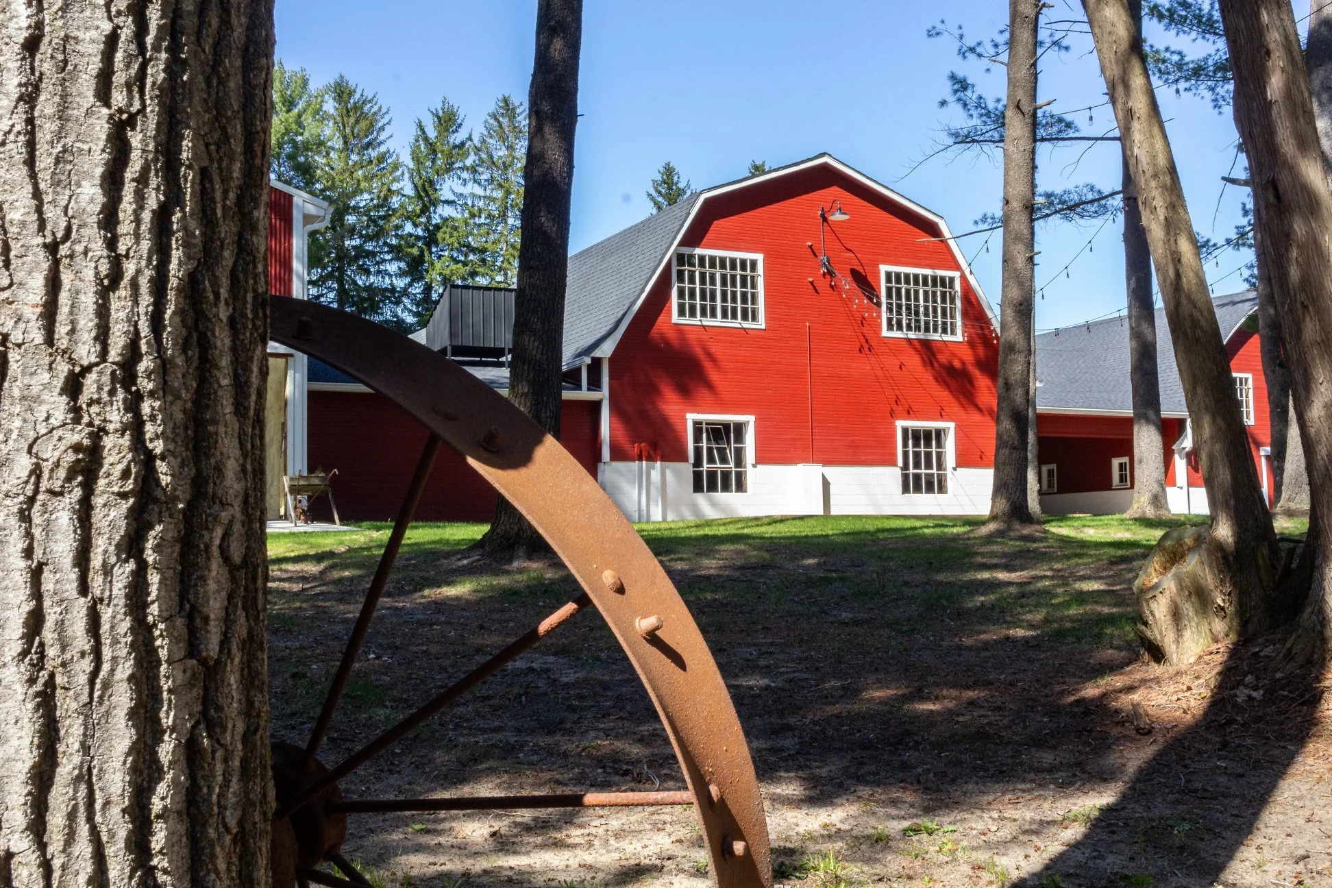 Early Spring 2020 Visit by Ron Roth