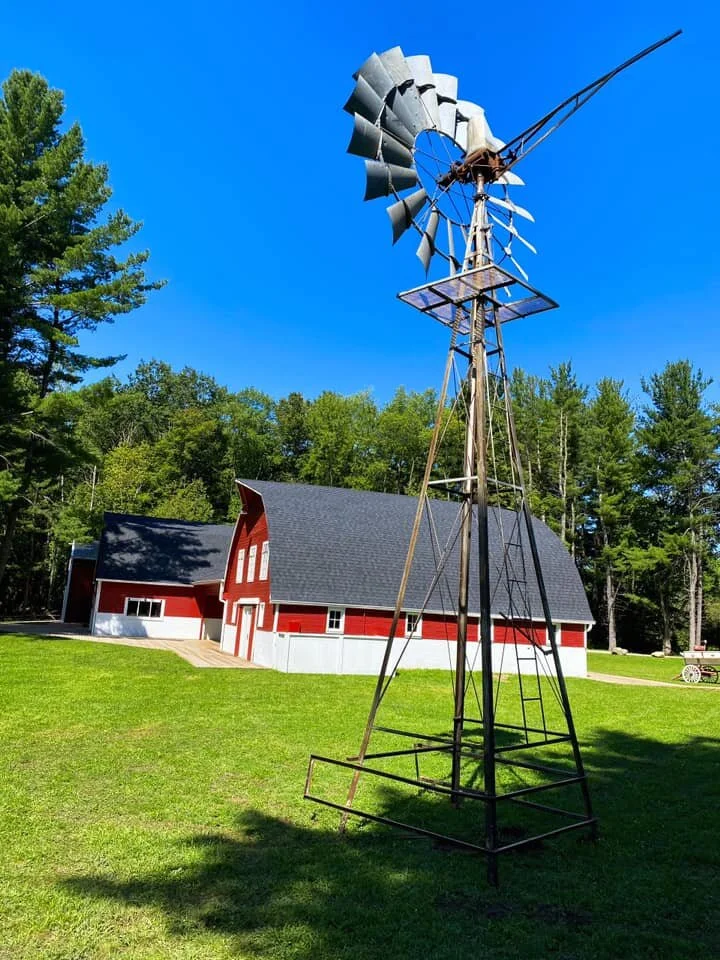 New Additions To The Ranch - Summer 2020