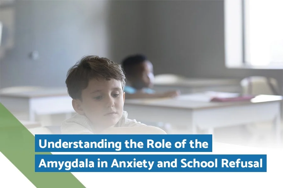The amygdala, a small almond-shaped structure in the brain, is critical in how we process emotions, particularly fear and anxiety.