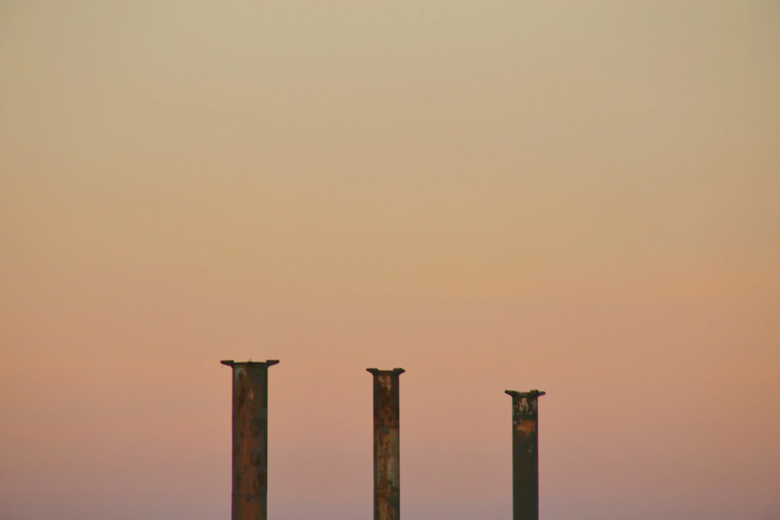 Selective Mutism: Where to Focus First