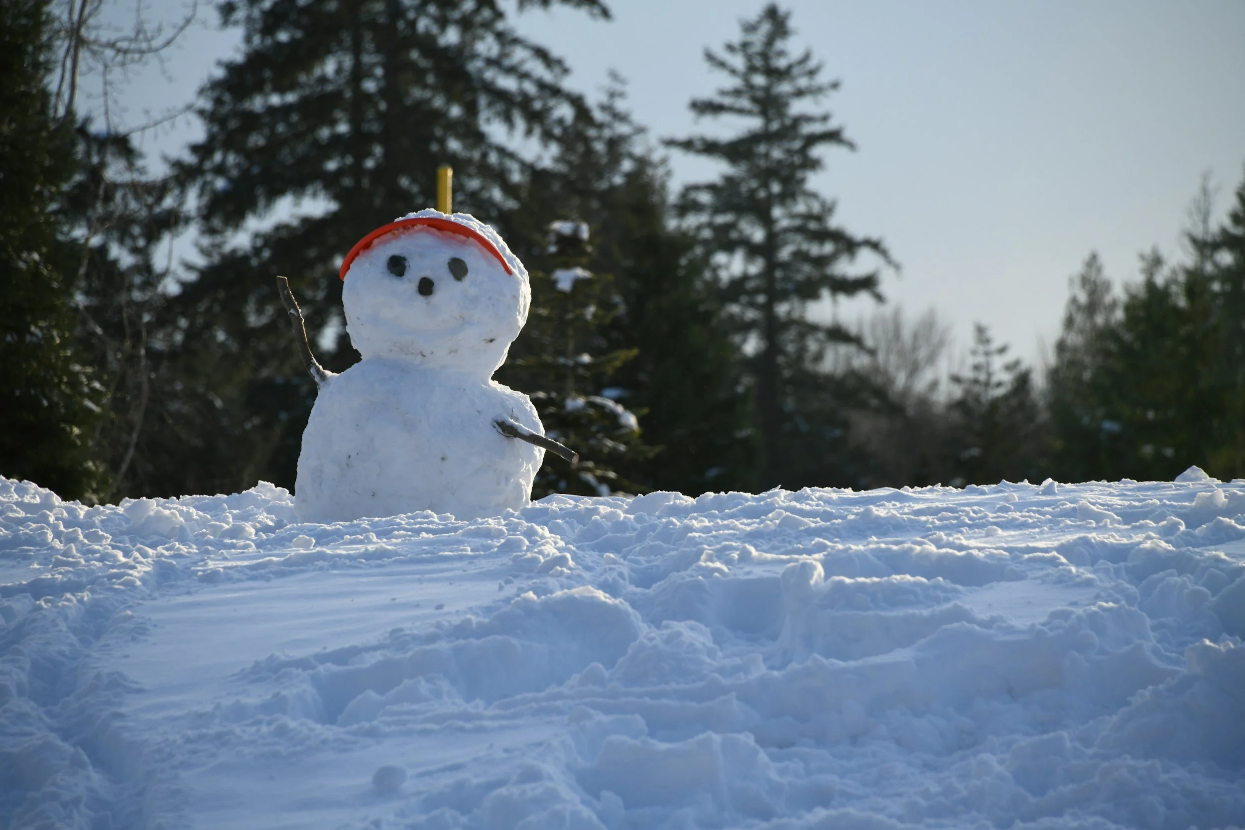 Winter Break and Snow Days: How to Maintain Gains with SM During Downtime