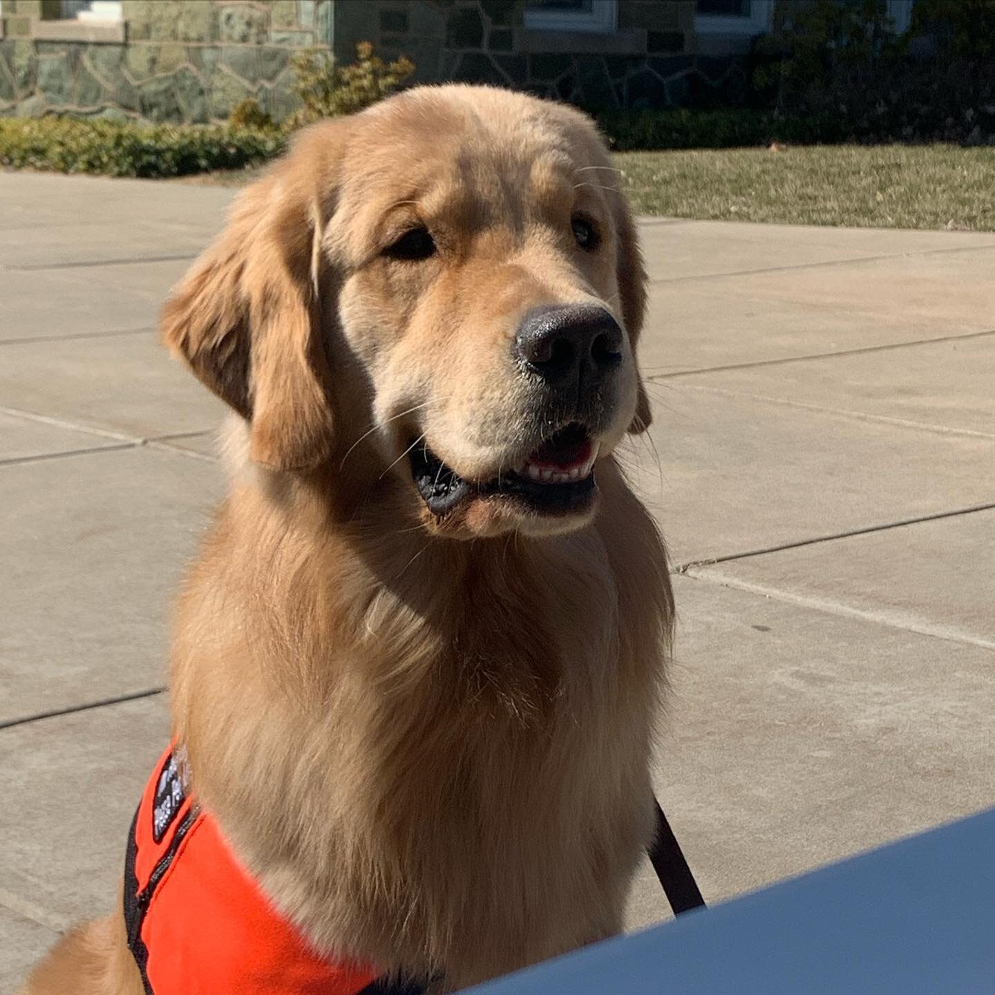 A good boy visited us during out Bake sale last Wednesday! Thank you all so much for coming out!