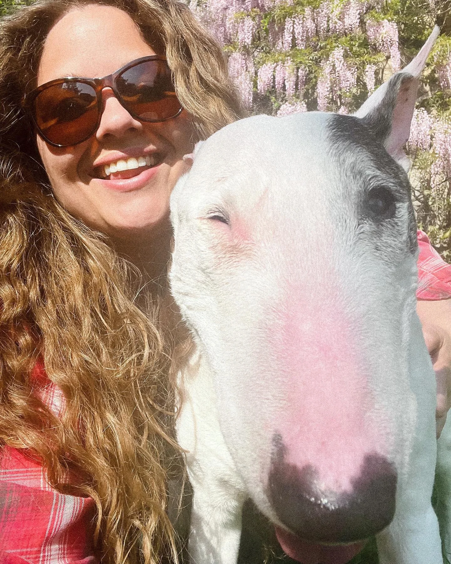 🐶 my puppy is my happy place 🌸